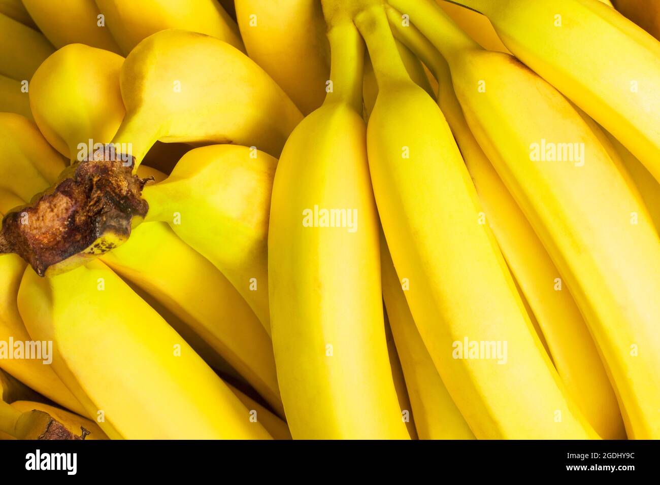 Yellow banana. Background of bananas. Fruits. Food background Stock