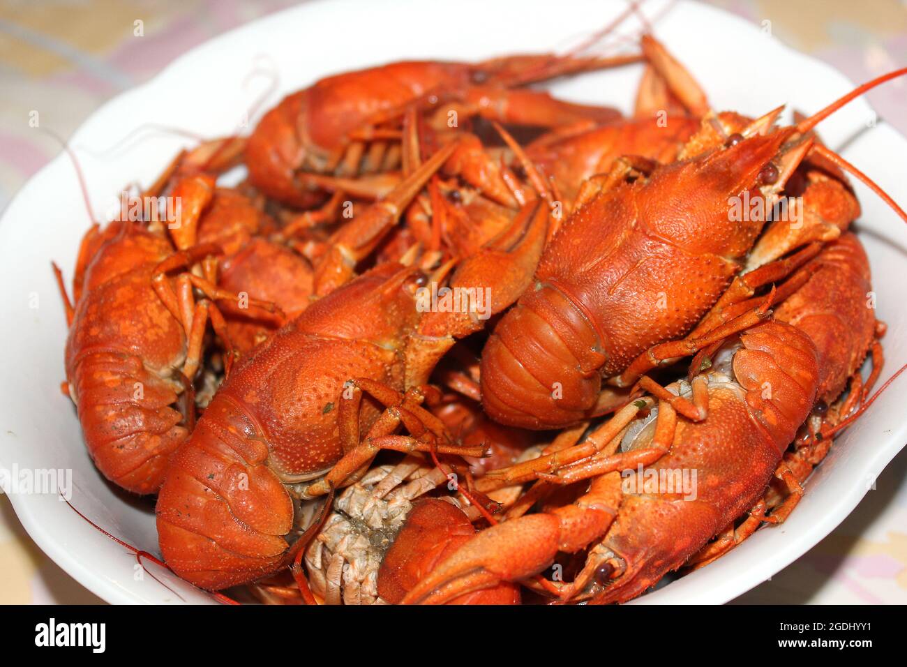 Boiled crayfish on a plate Stock Photo