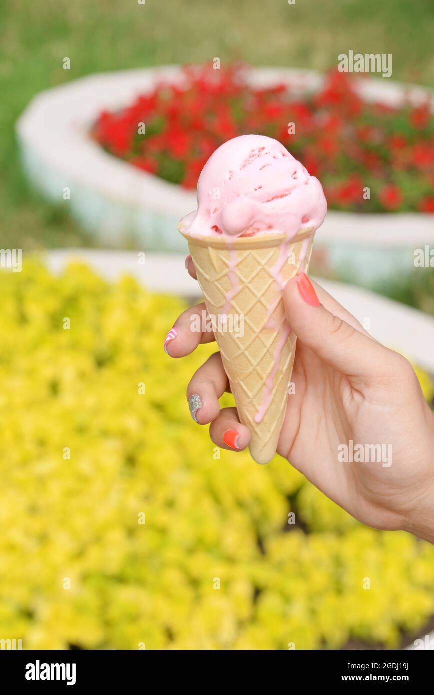 Ice cream in hand outdoors Stock Photo Alamy