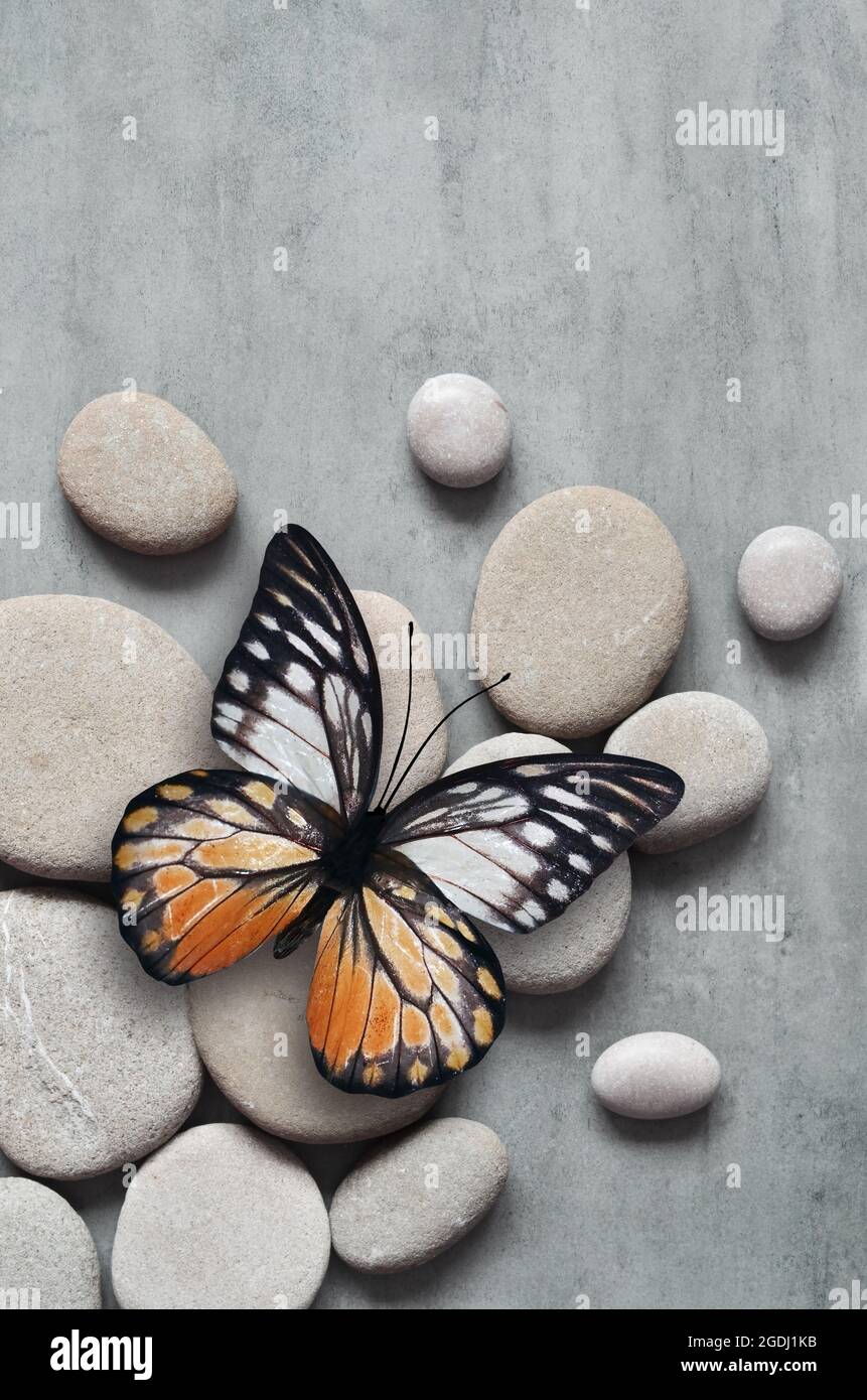 Flat lay composition with grey spa stones and butterfly on grey ...