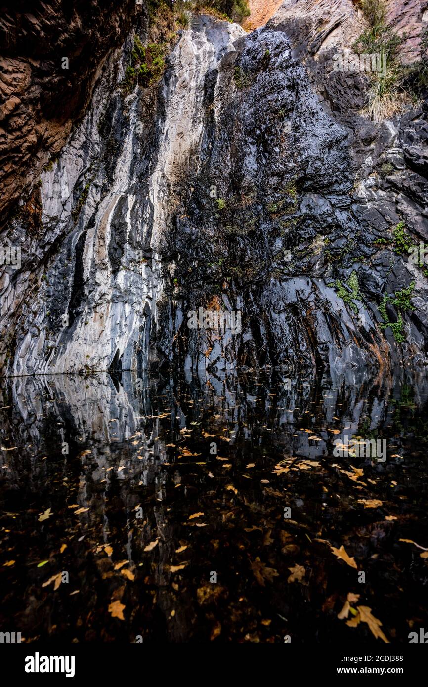 Fall Leaves Float On The Pool Below Cattail Falls in Big Bend National
