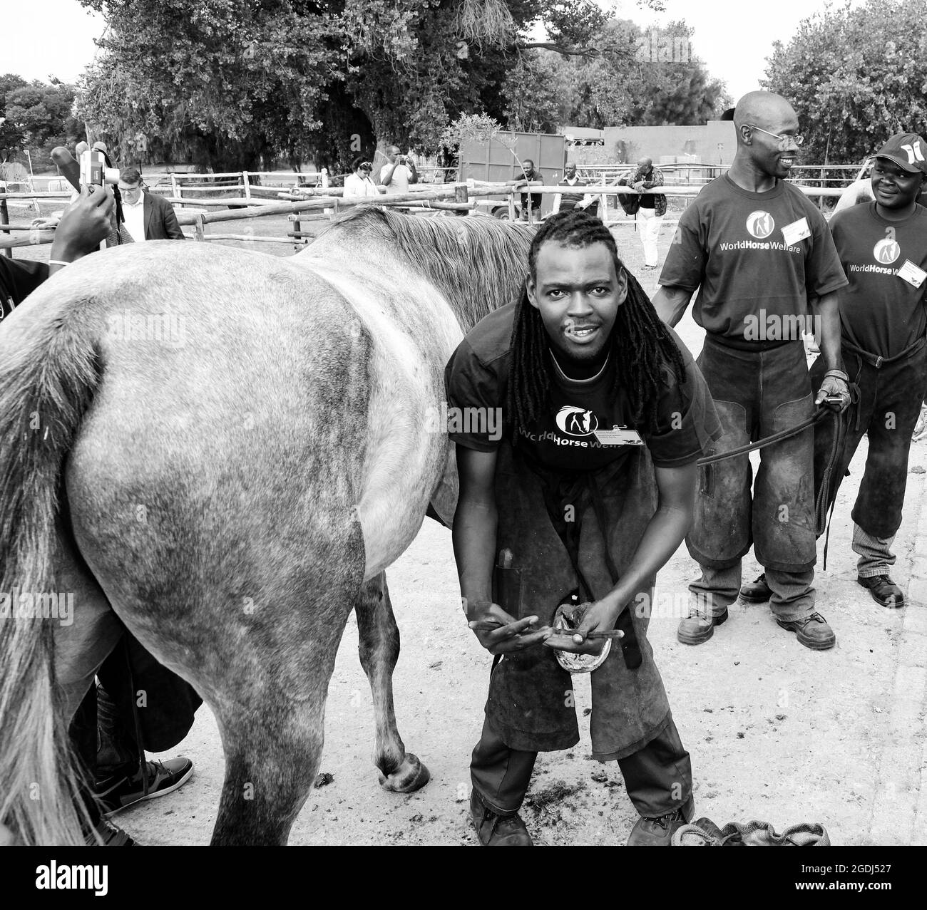 JOHANNESBURG, SOUTH AFRICA Jan 06, 2021 A farrier performing