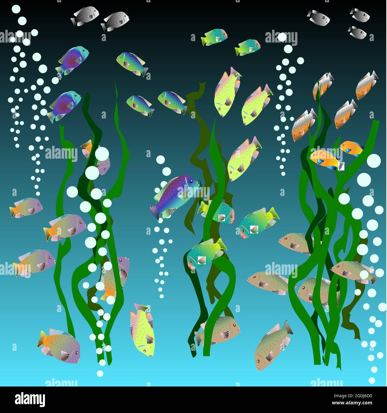 Fish Pool Vector Marine fish swimming Stock Vector Images - Alamy