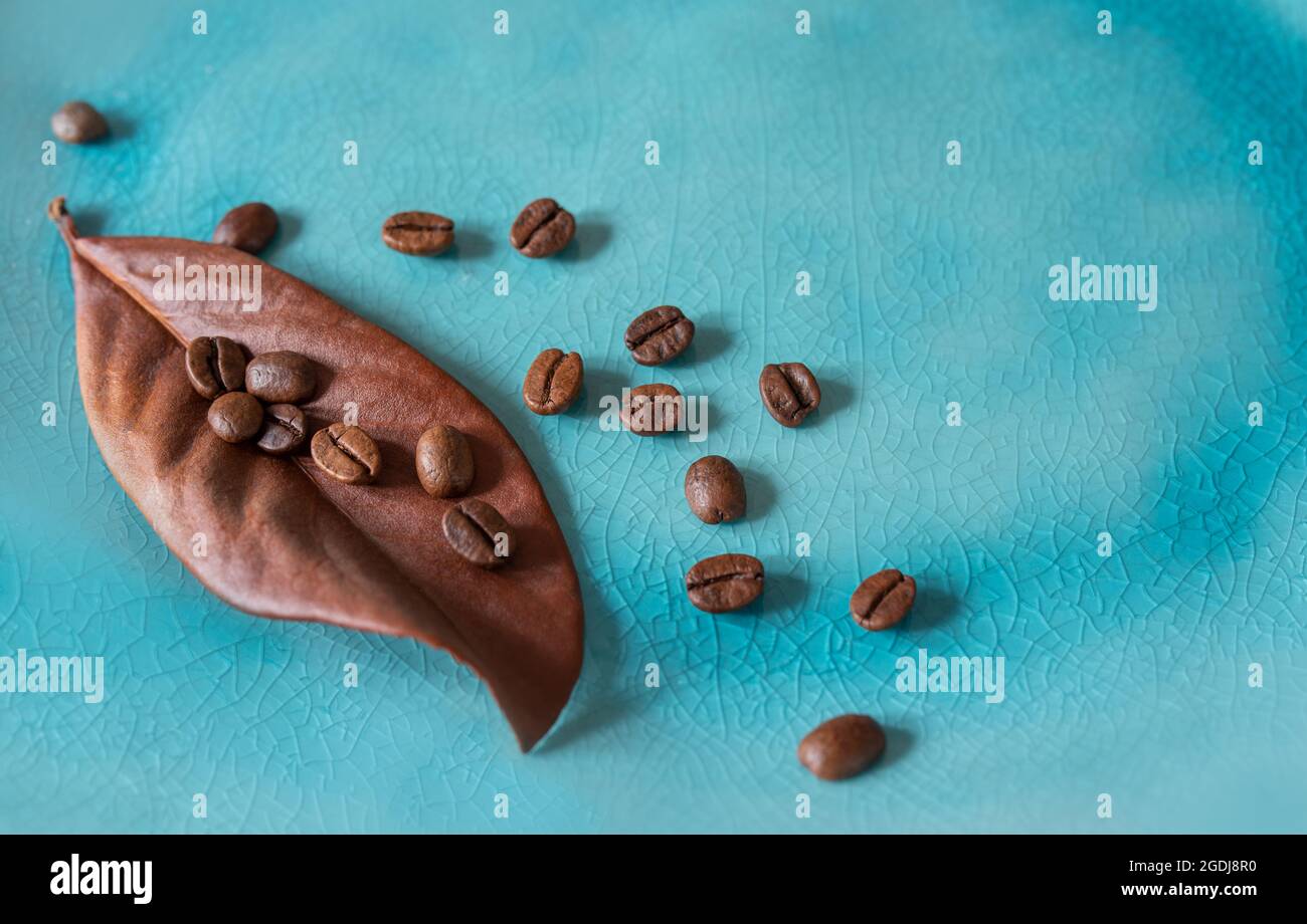 Some coffee beans with textured autumn leaf on a blue backround Stock Photo