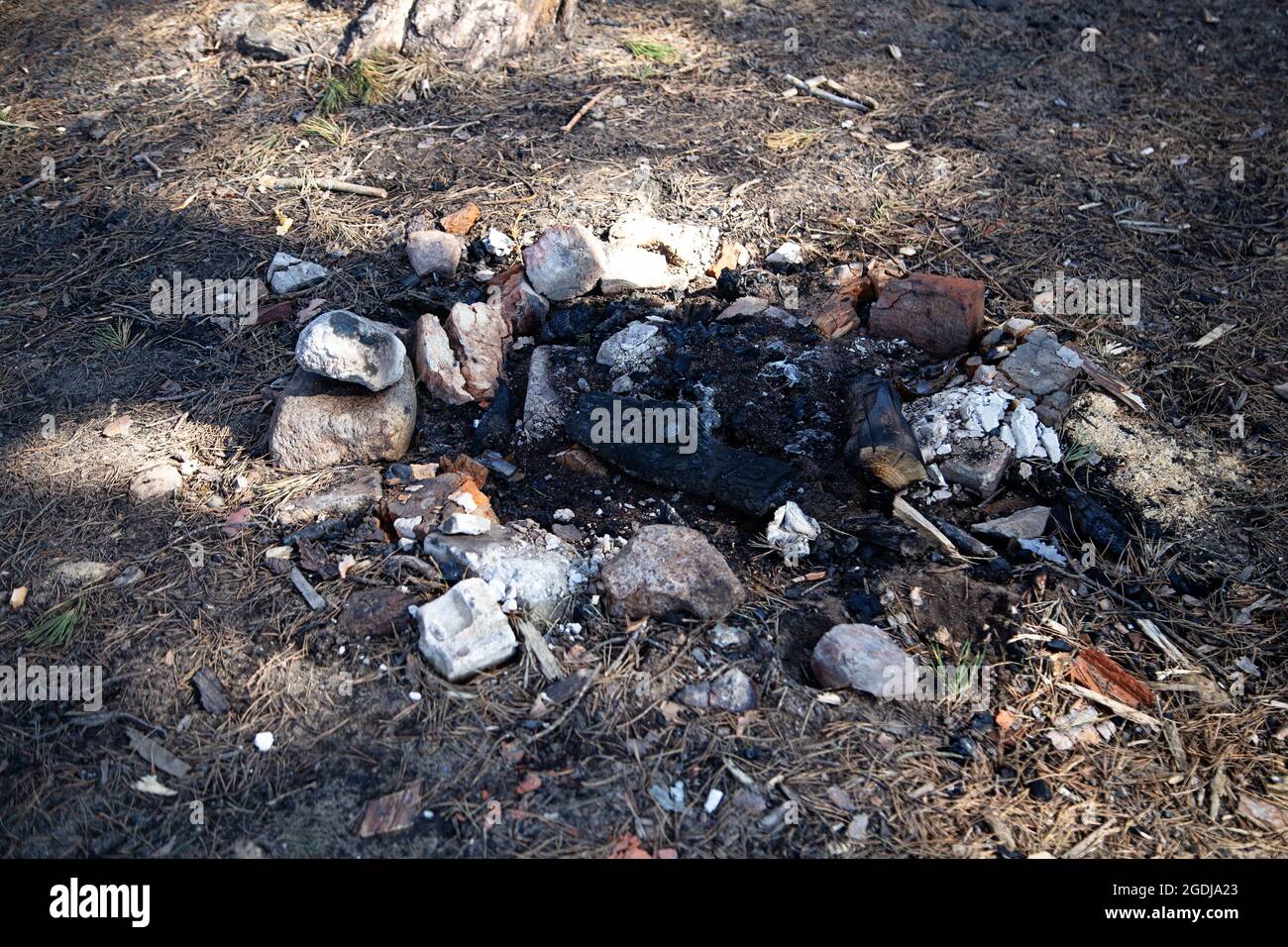 Extinct fire in the forest among the stones Stock Photo - Alamy