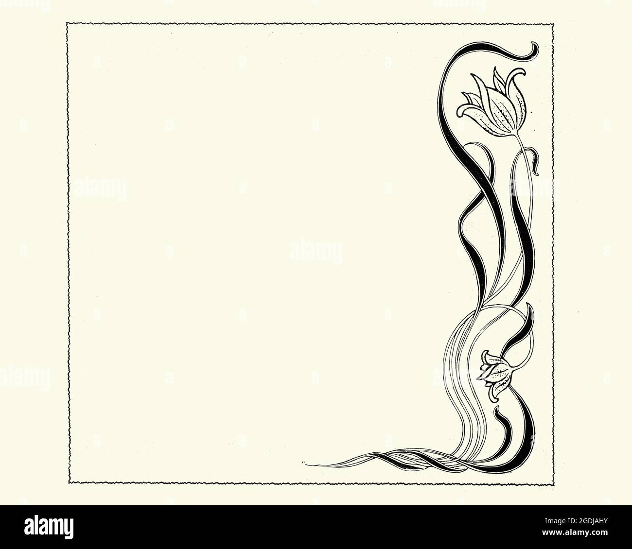 Art Nouveau title, flower, tulip, design Stock Photo Alamy