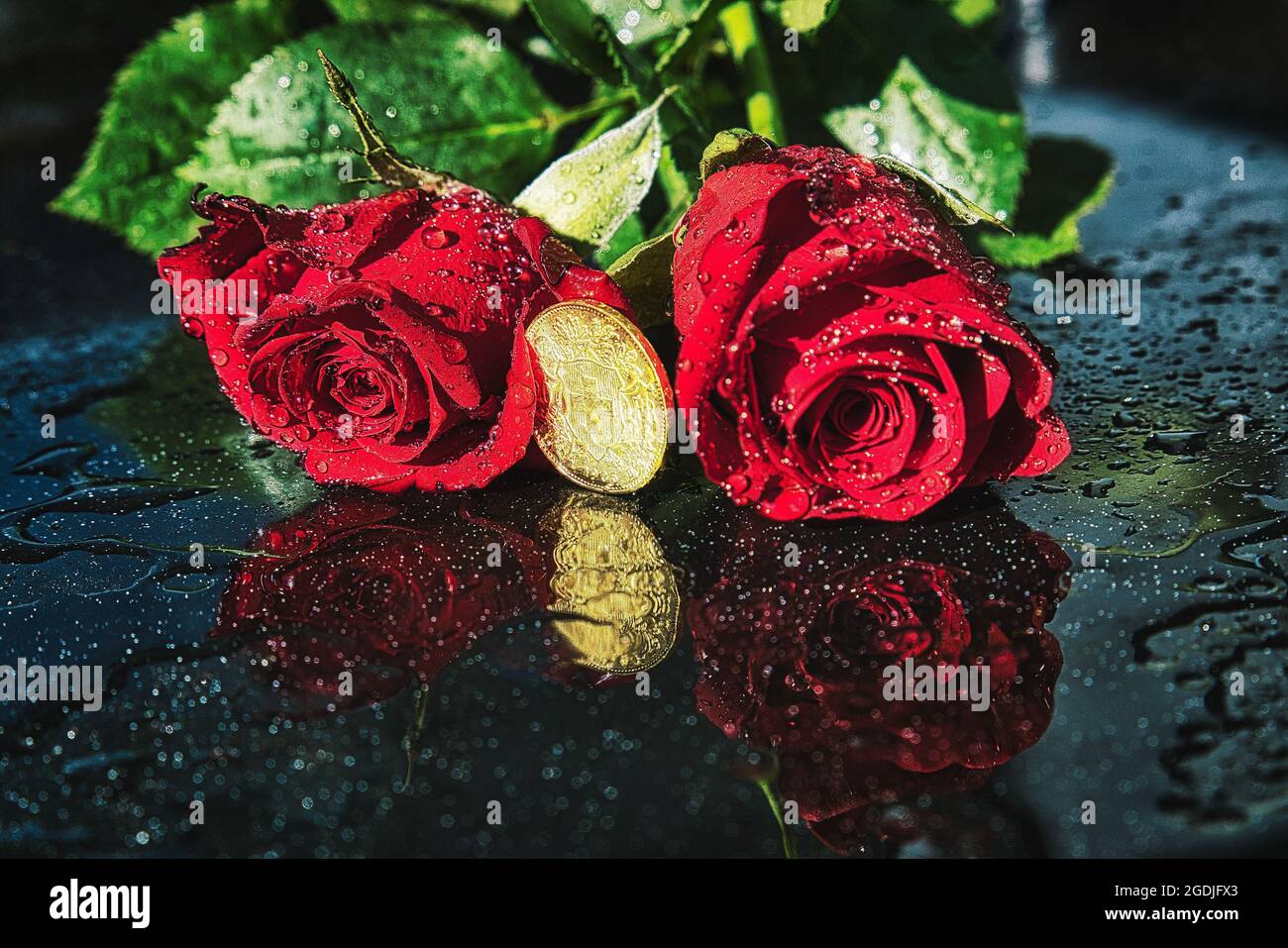Shot of two red roses surrounding a golden coin in the middle with its ...
