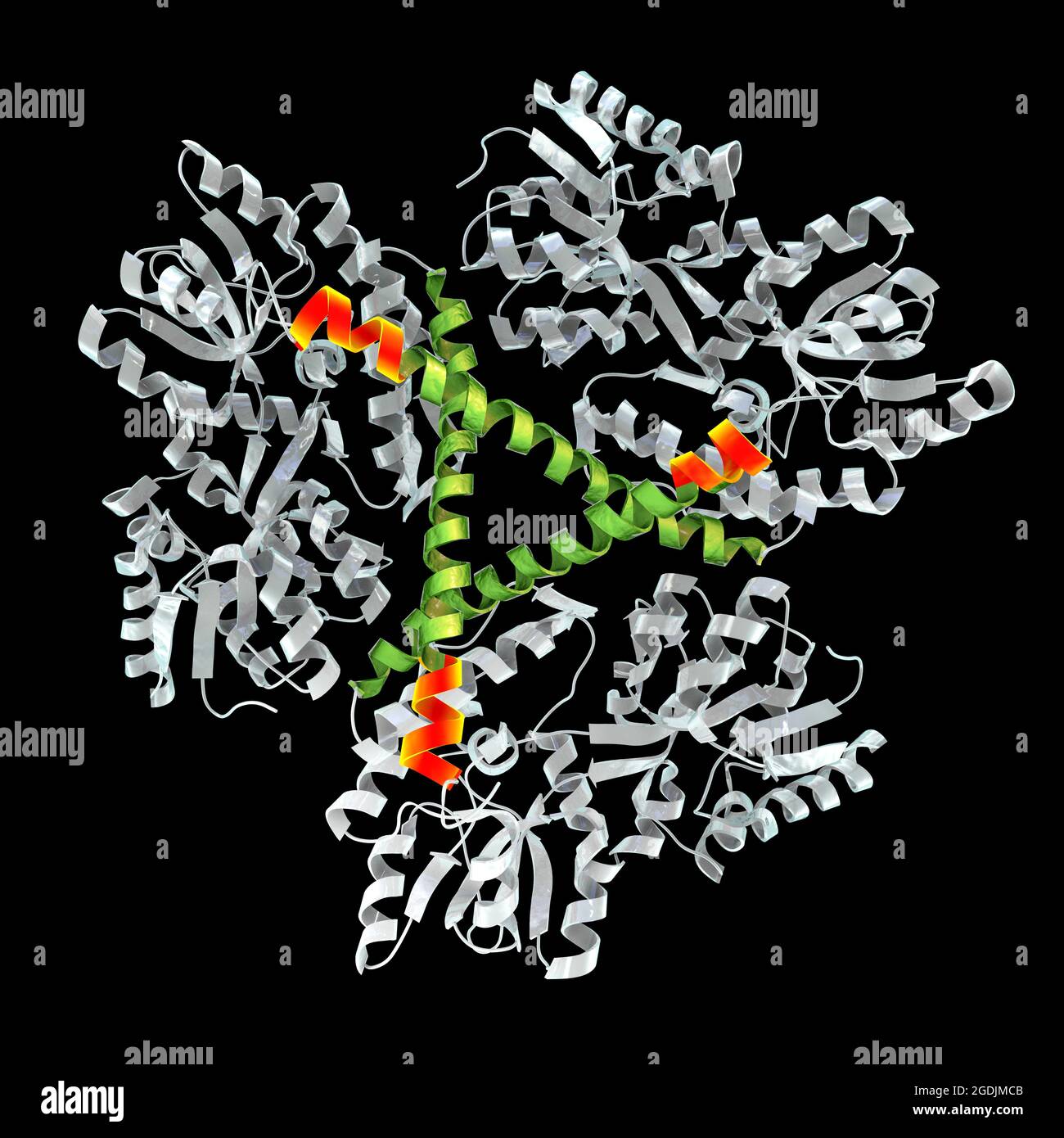 Mutant hi-res stock photography and images - Alamy