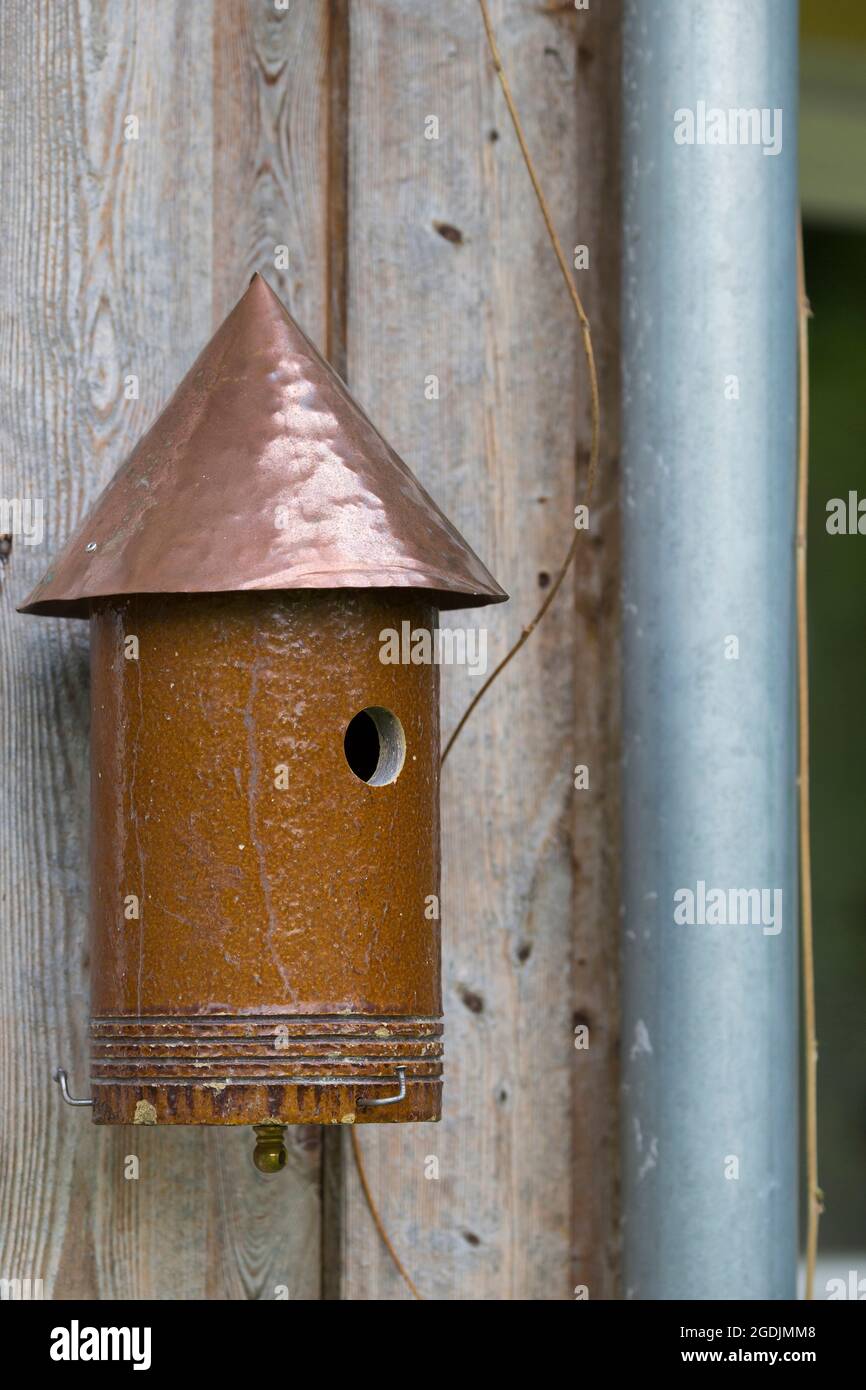 a piece of a clay tube was converted into a titmouse box, Germany Stock Photo