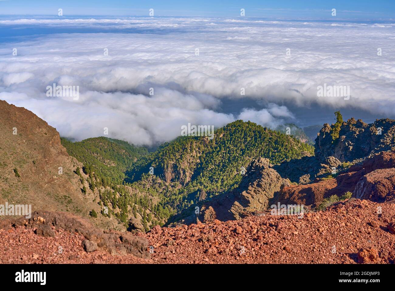 Trade wind clouds accumulate on the slopes of the Caldera de Taburiente. There, the Canary Island pines filter out the water with their long needles Stock Photo