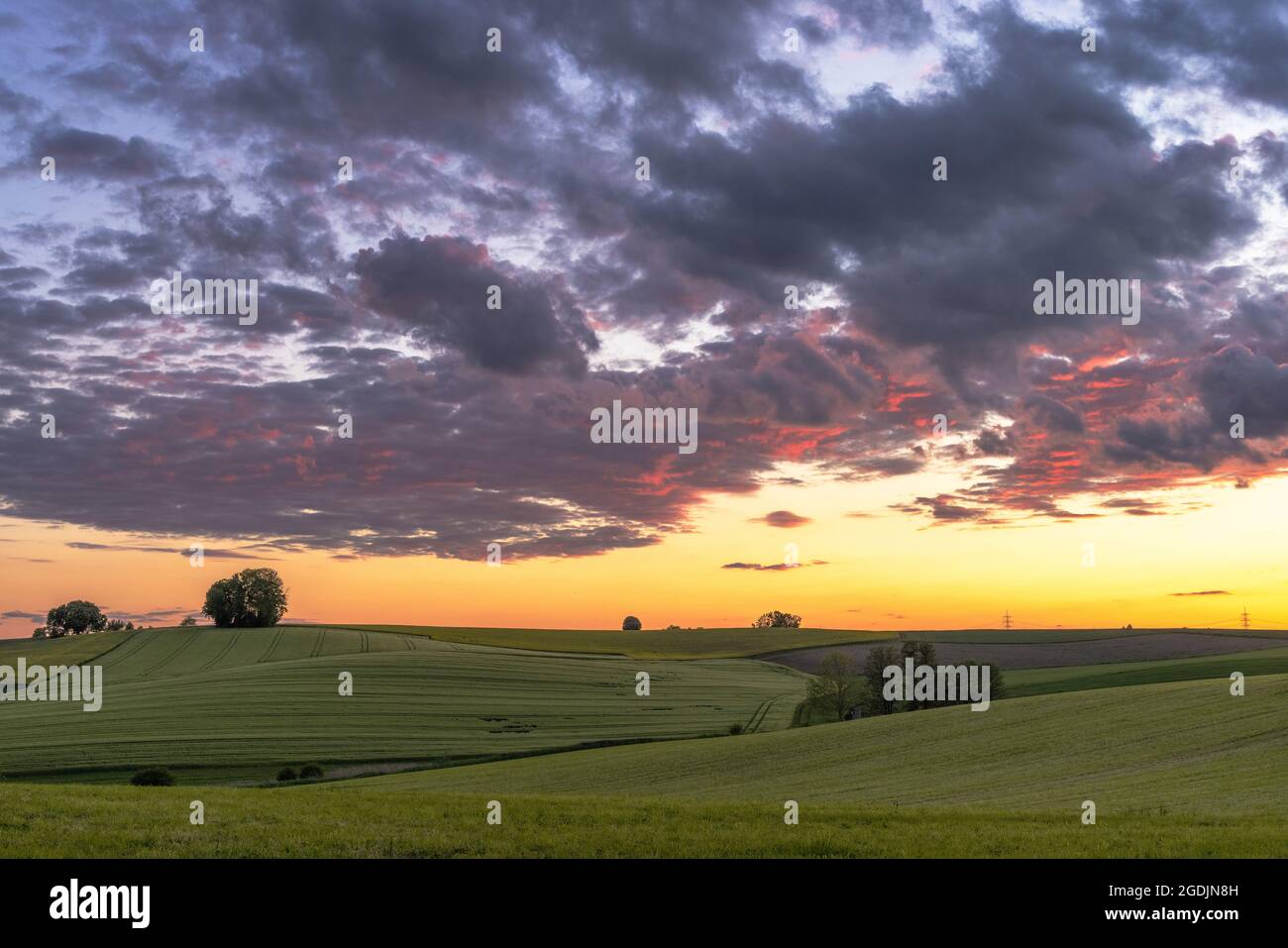 evening glow over cultural landscape, Germany, Bavaria, Isental Stock Photo