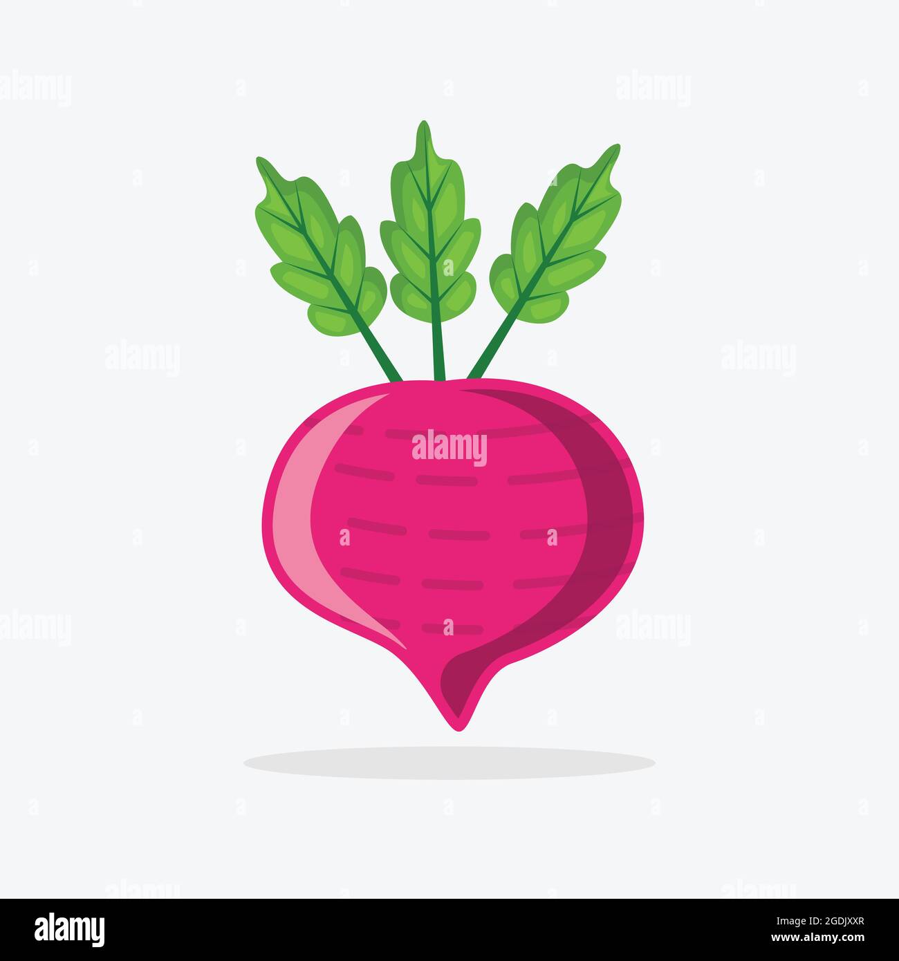 Bit fruit illustration flat style on white background, Bit fruit vector isolated Stock Vector