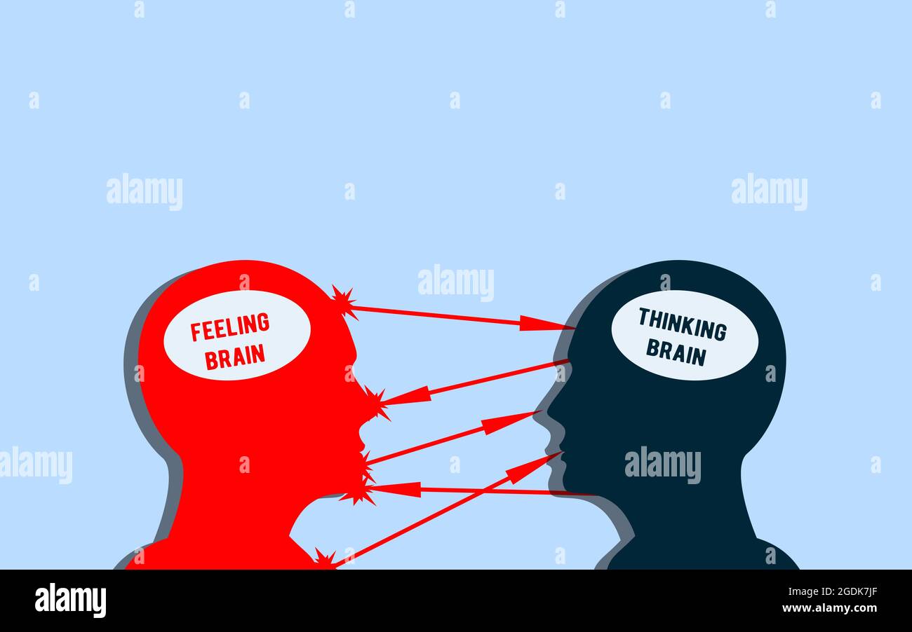 Feeling Brain And Thinking Brain Concept Emotional Mind And Reasonable Mind Illustrated With Two Different Human Brain With Different Way Of Thinking Stock Photo Alamy