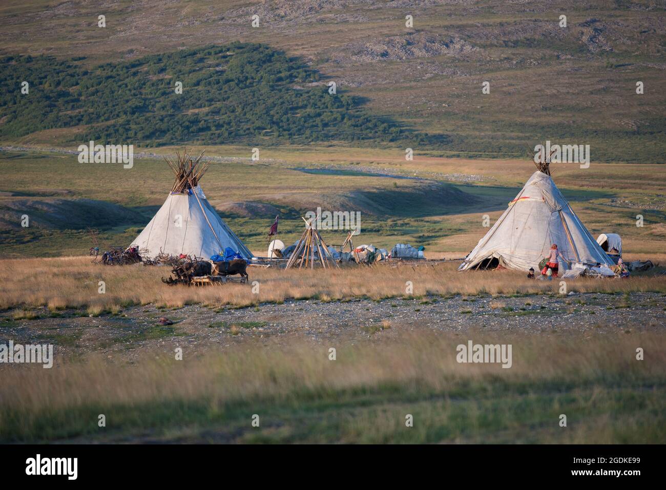 Camp of modern reindeer herders in the Yamal tundra. Russia Stock Photo