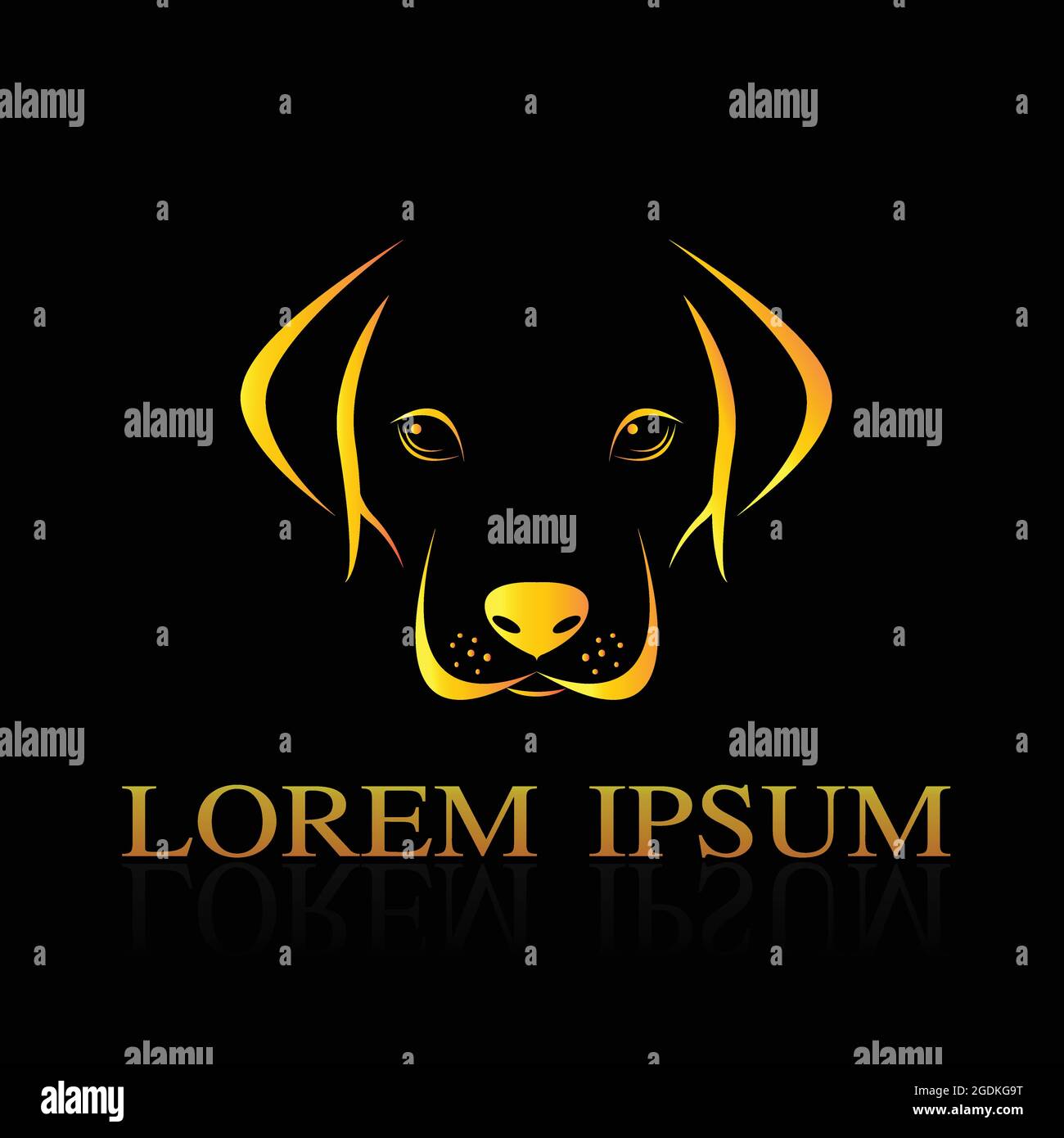 Vector image of a dog labrador on black background. Easy editable