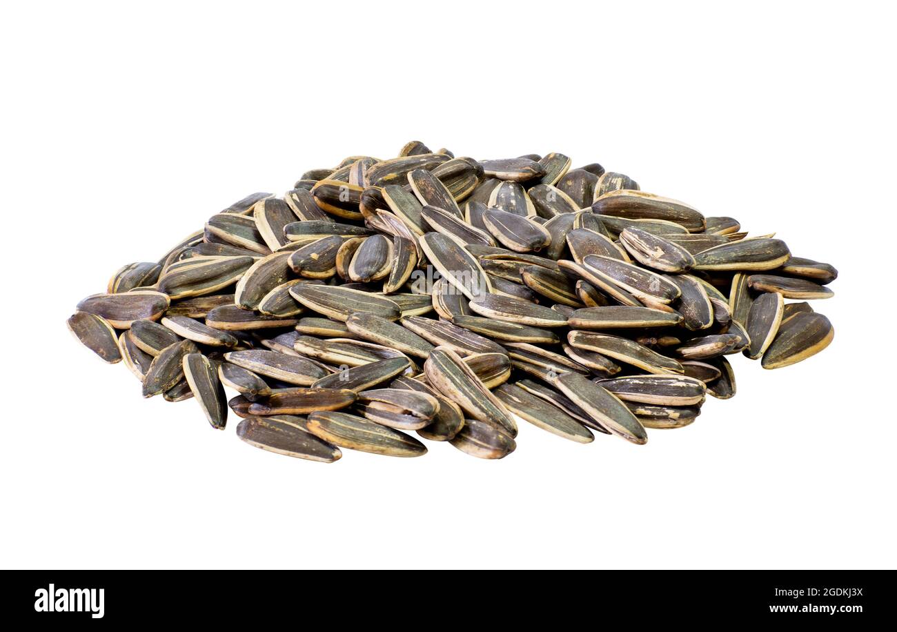 Dried sunflower seeds. Snack to eat as a snack. Clipping Path Stock