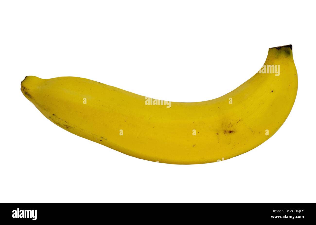 Ripe, yellow bananas with sweet flavor for a healthy snack. Clipping path. Stock Photo