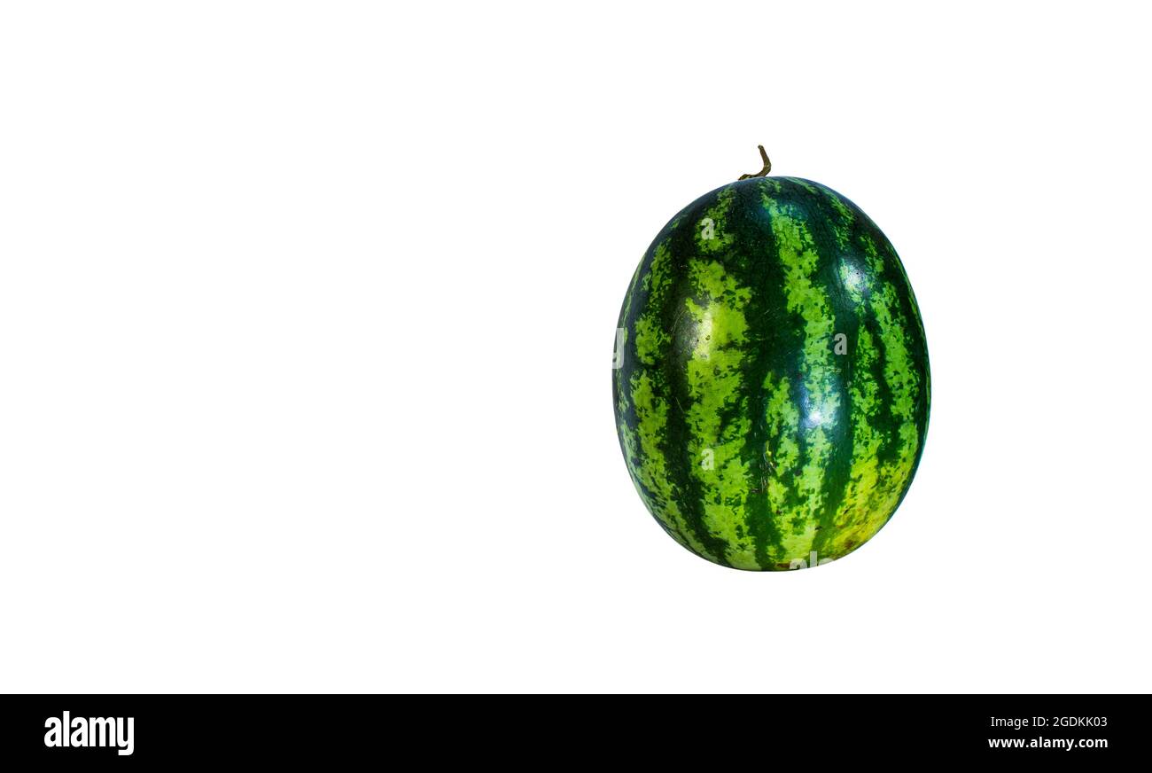 Green watermelon ball against white backdrop. Clipping path. Stock Photo