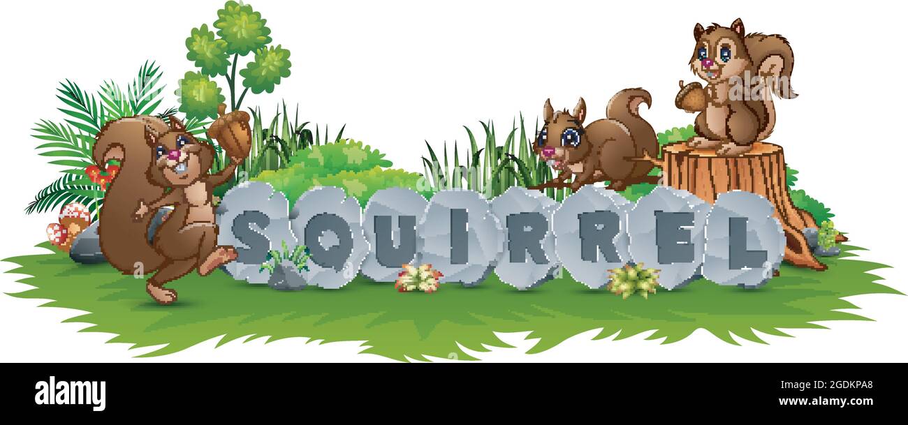Squirrel are playing in the garden Stock Vector