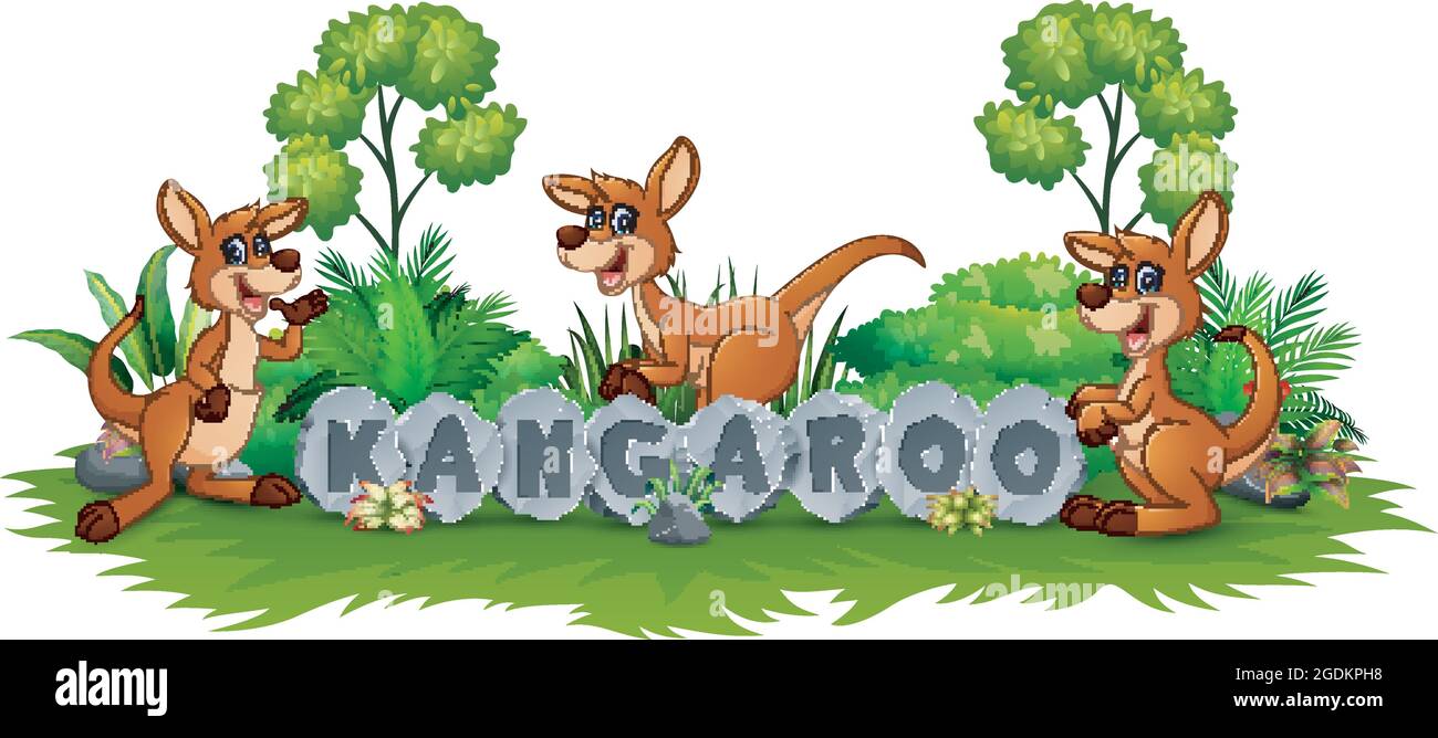 Kangaroo playing in the garden Stock Vector