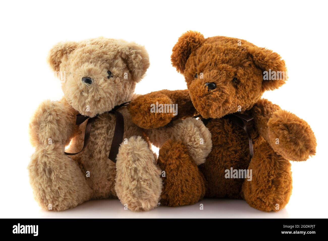 Teddy bear isolated on white background Stock Photo - Alamy