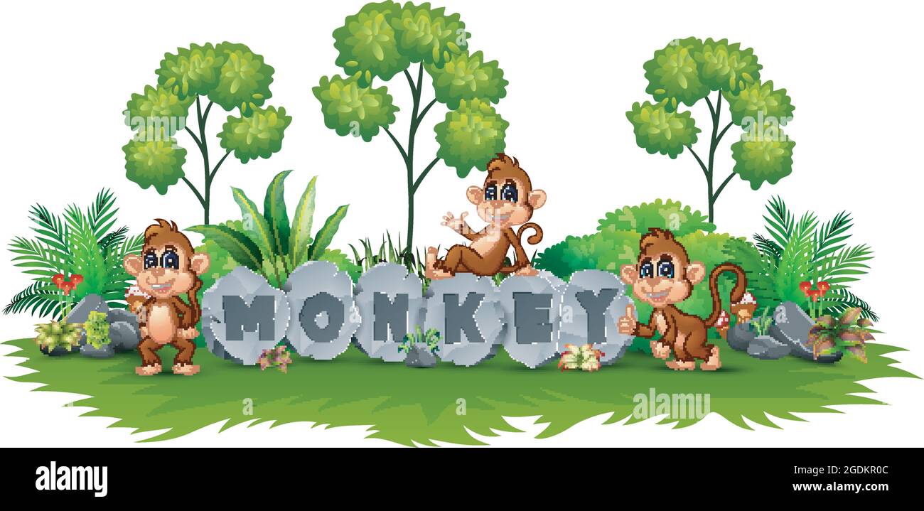 The monkey is playing in garden Stock Vector Image & Art - Alamy
