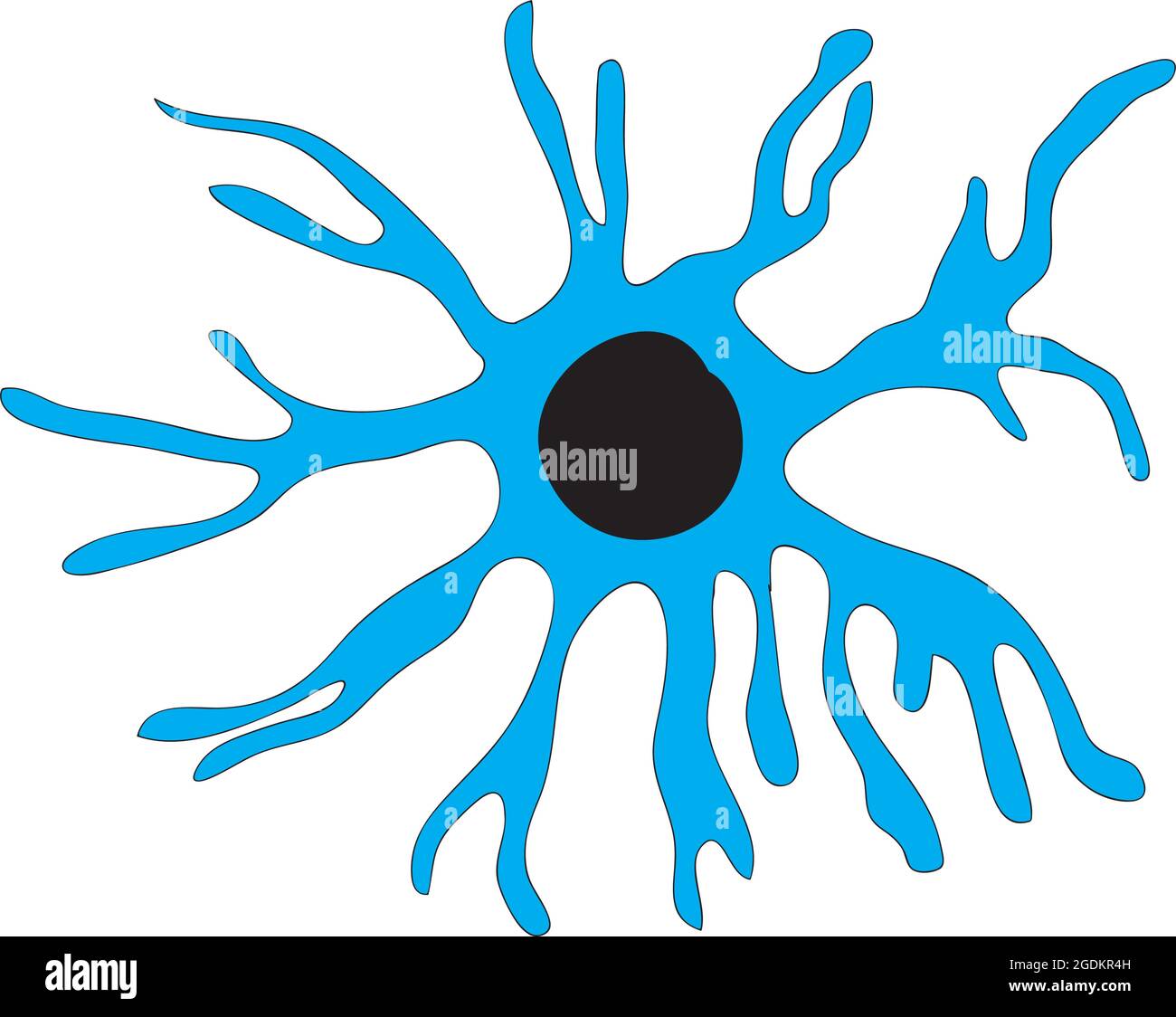 Intermediate neuron (Relay neuron Stock Vector Image & Art - Alamy