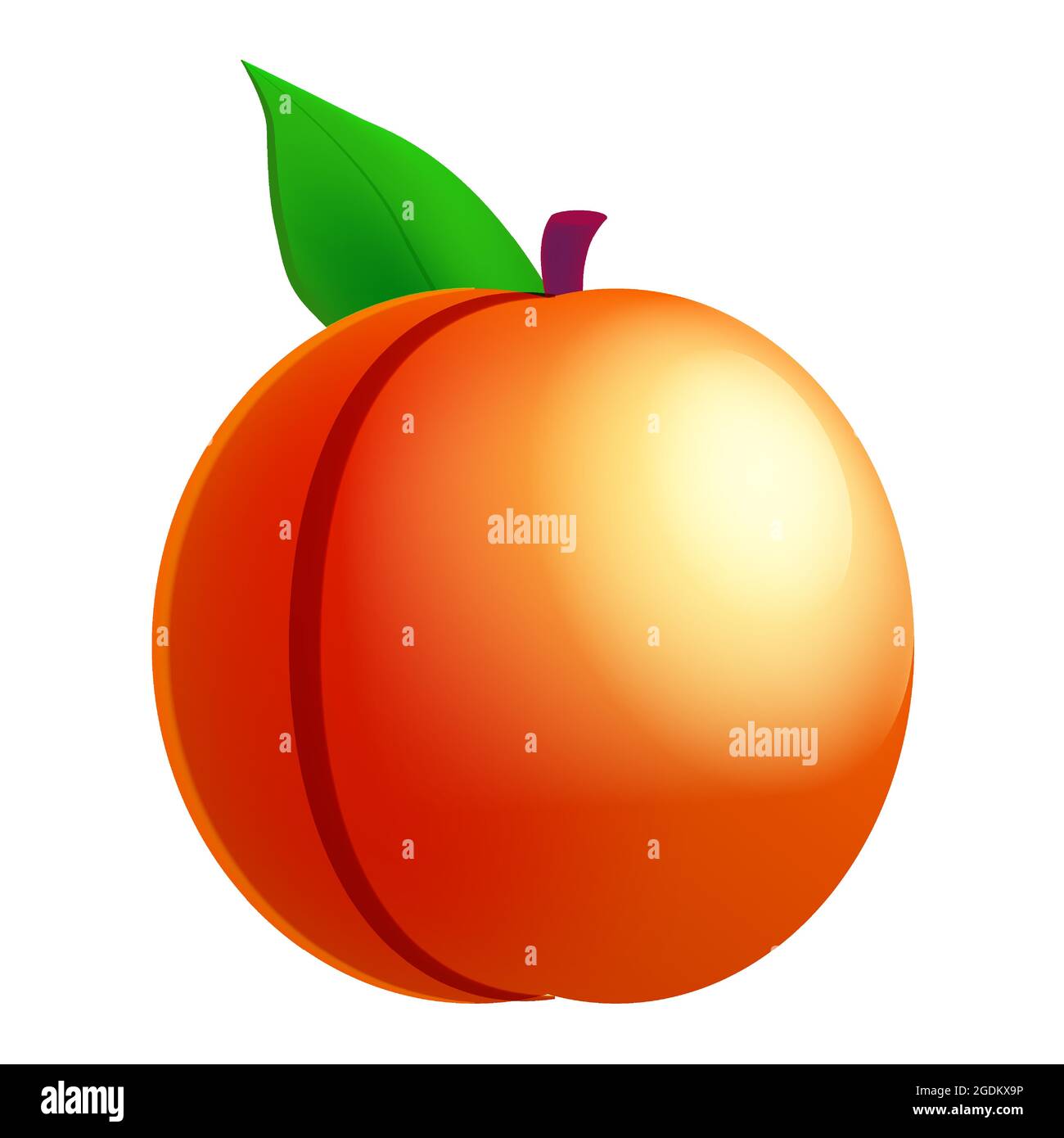 Peach ripe, fruit whole fresh organic, orange color, icon. Vector