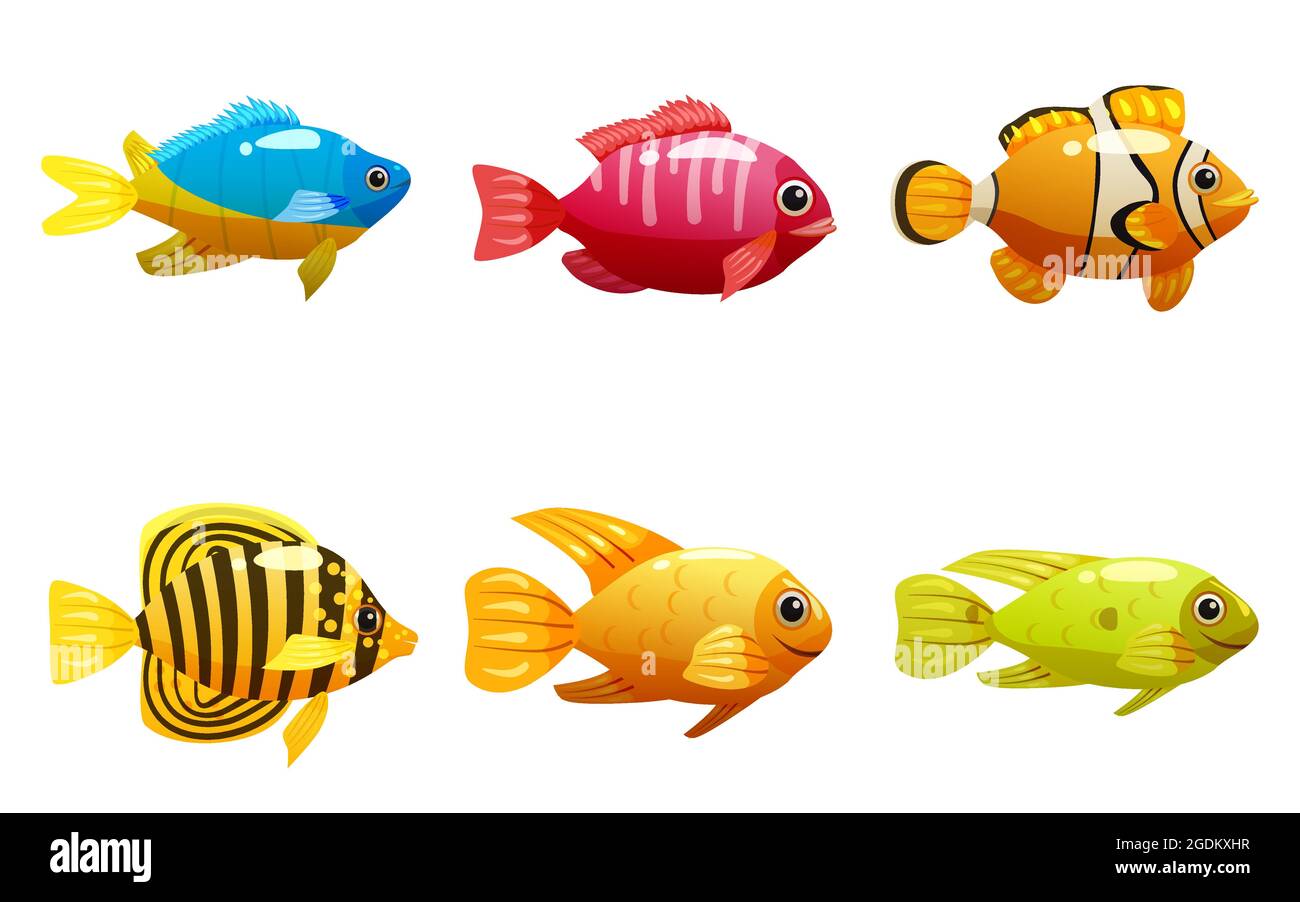 Exotic colorful tropical fish fishes collection set isolated Stock Vector  Image & Art - Alamy