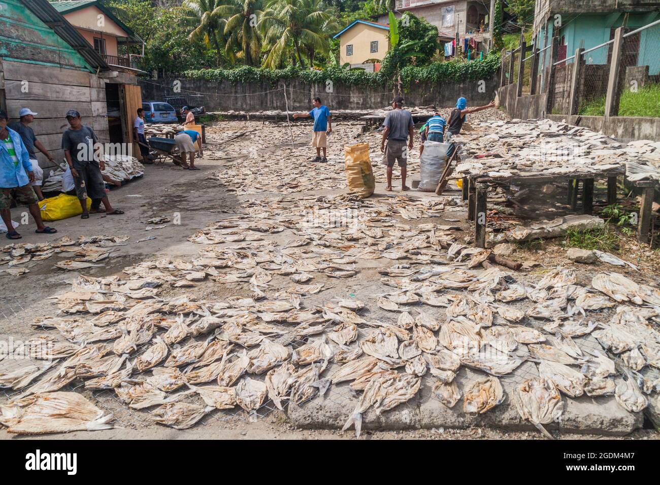LIVINGSTON, GUATEMALA - MARCH 9, 2016: Fishermen dry the fish in Livingston village Stock Photo
