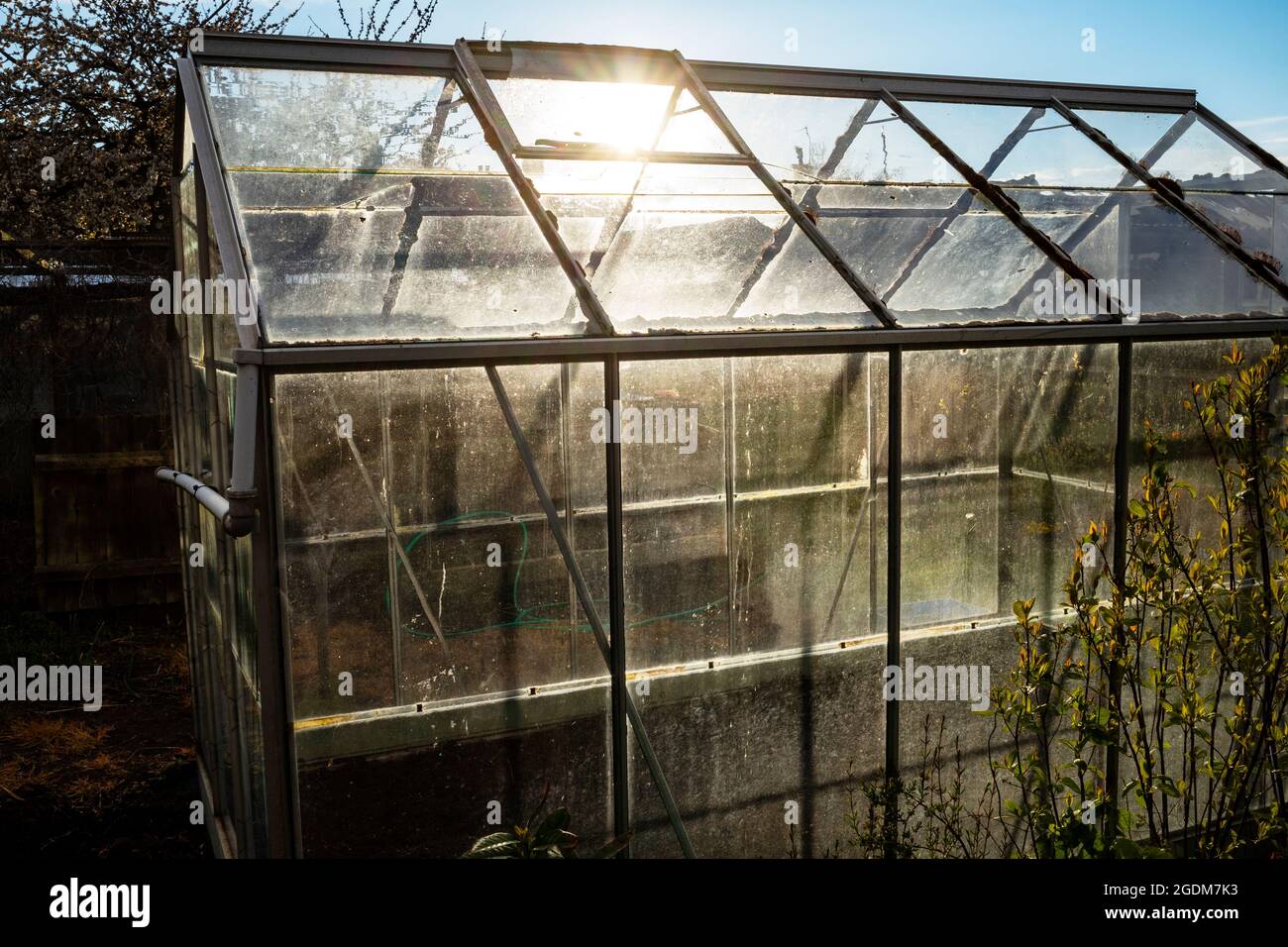 Empty greenhouse in winter sunshine Stock Photo