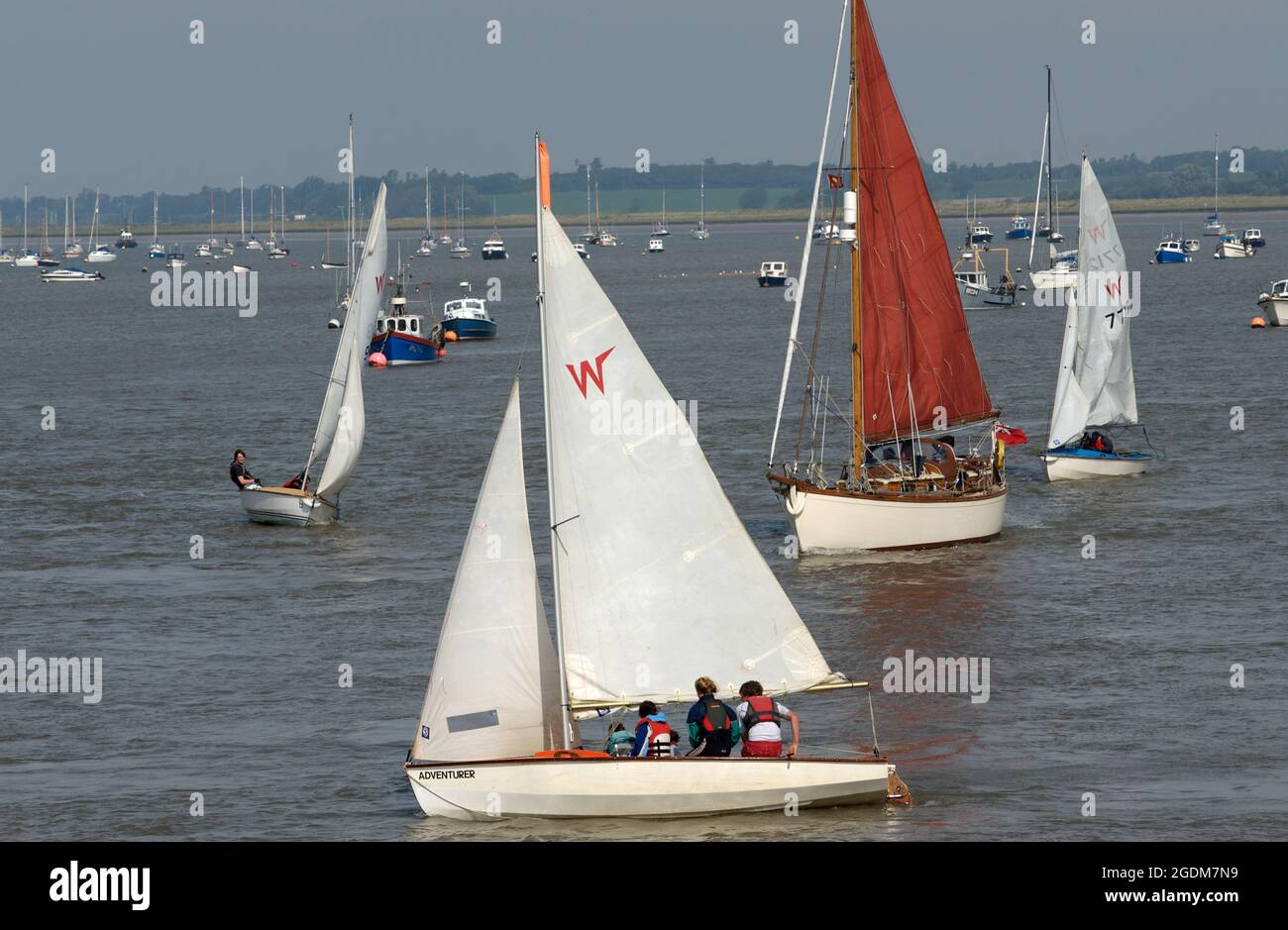 Sailing on the river Deben, Bawdsey Ferry, Suffolk, UK. Stock Photo
