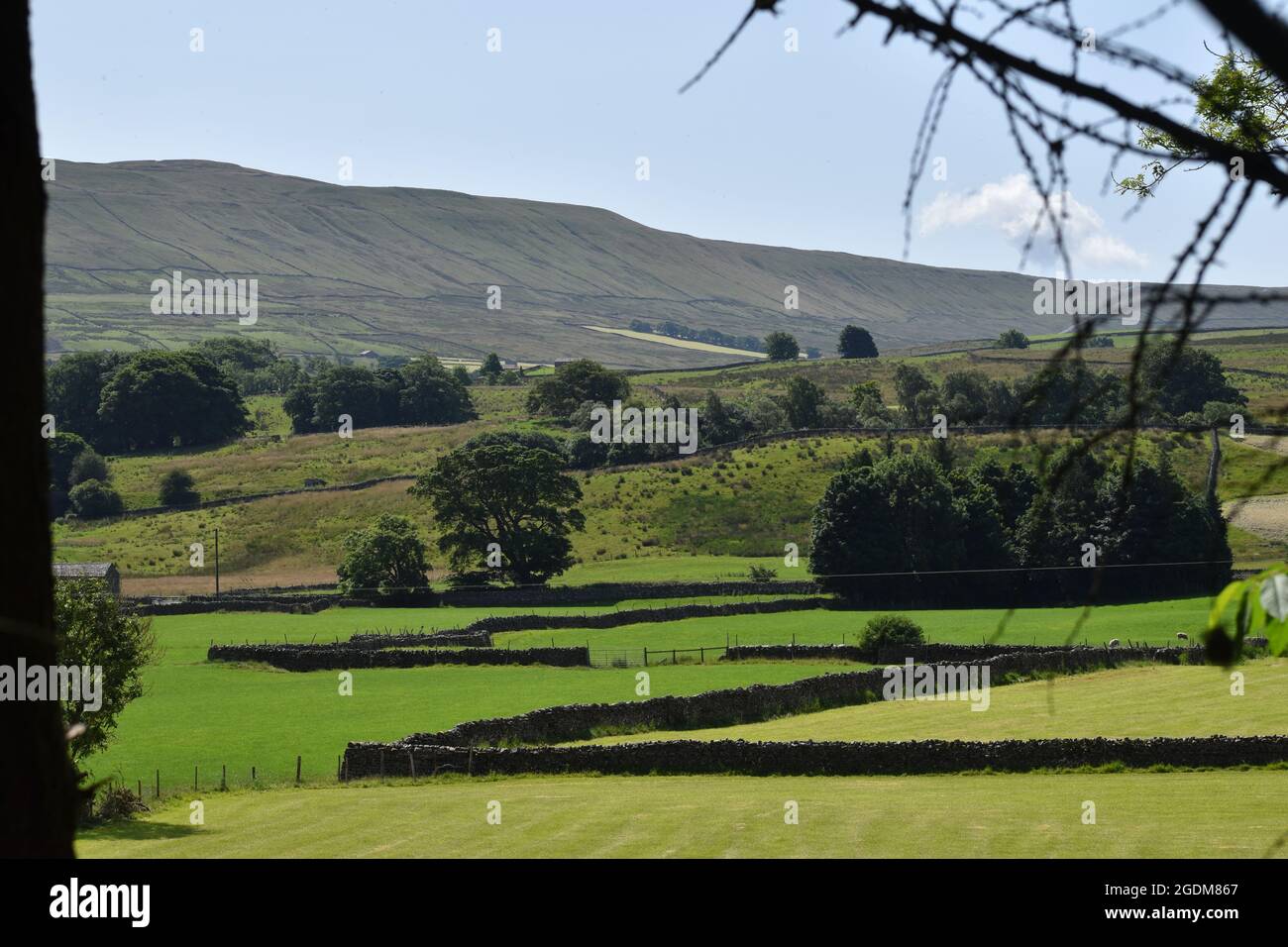 Countryside landscapes of the Yorkshire Dales Stock Photo