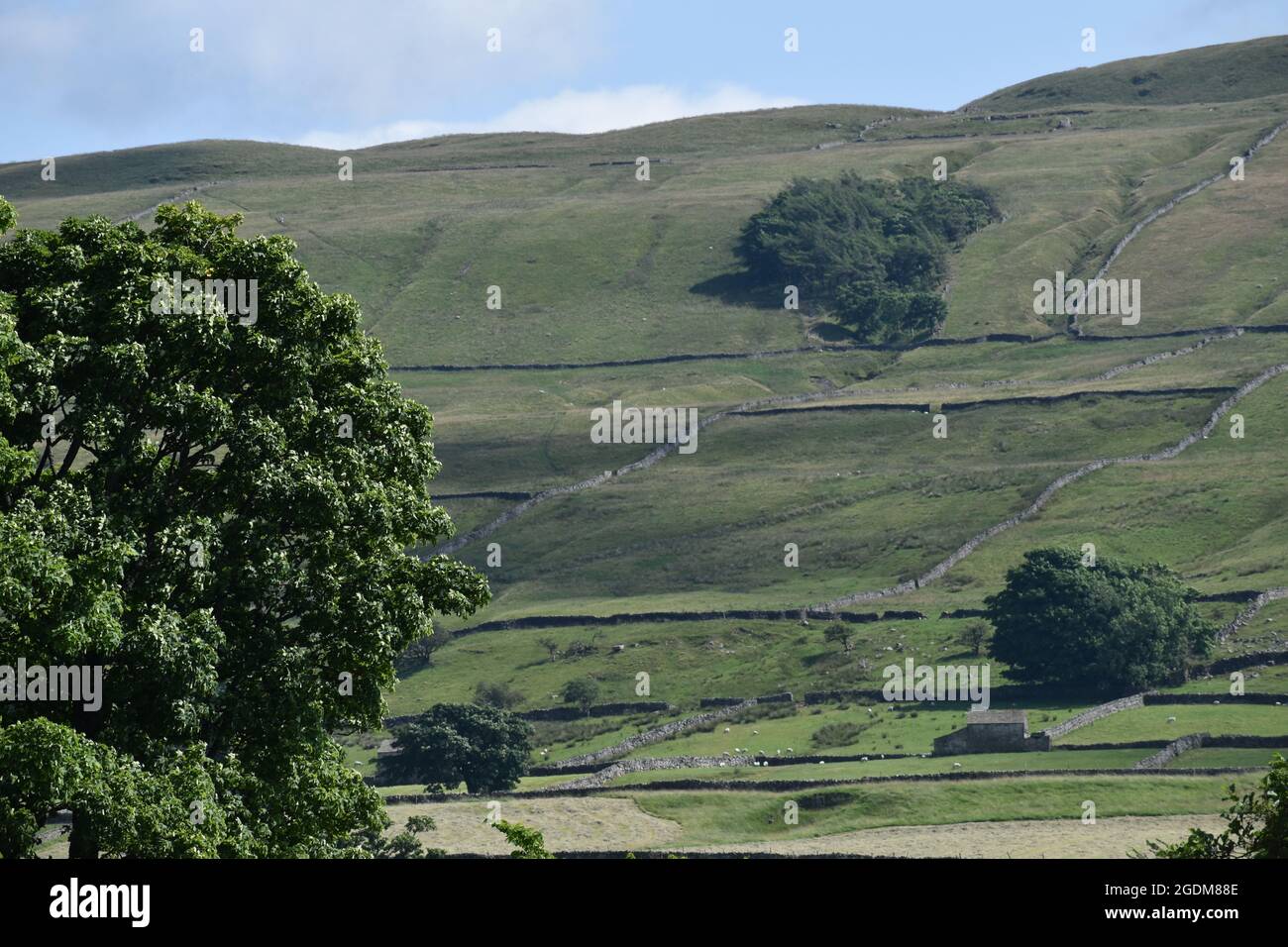 Countryside landscapes of the Yorkshire Dales Stock Photo