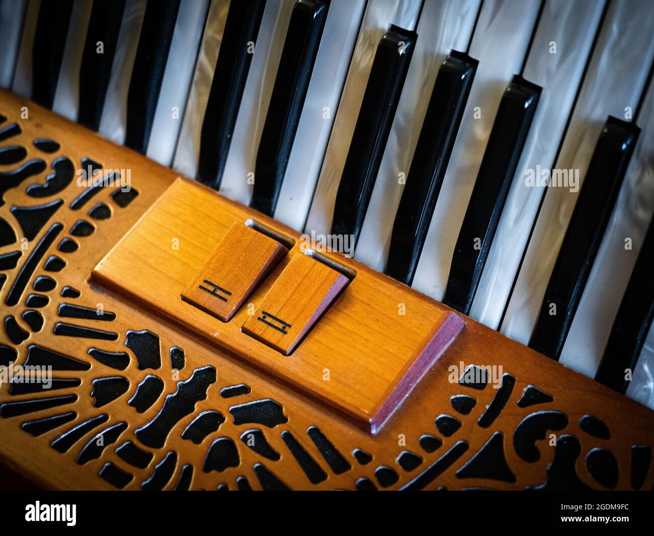 Piano accordion detail Stock Photo - Alamy