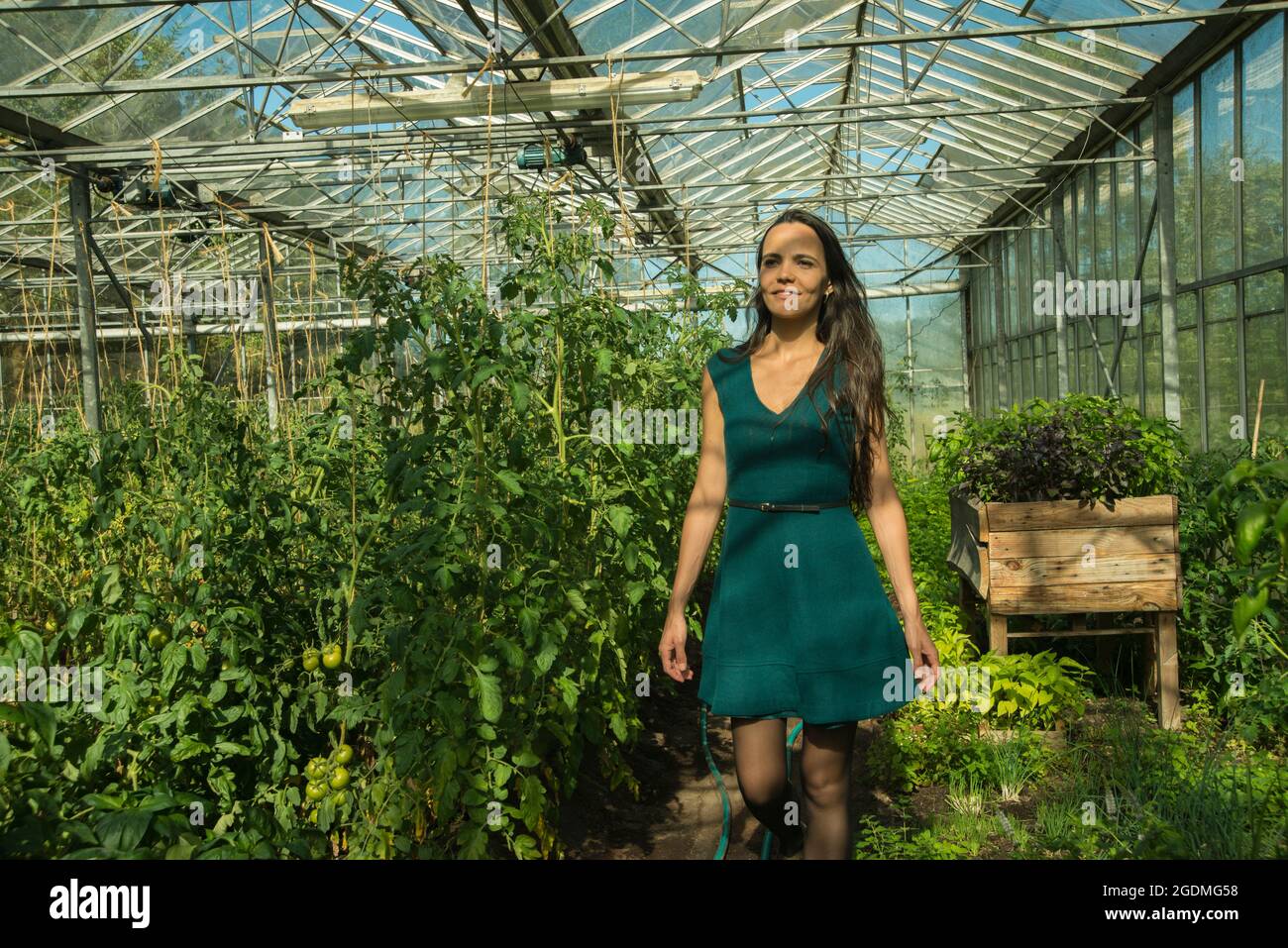 A women with green dress in the greenhouse Stock Photo