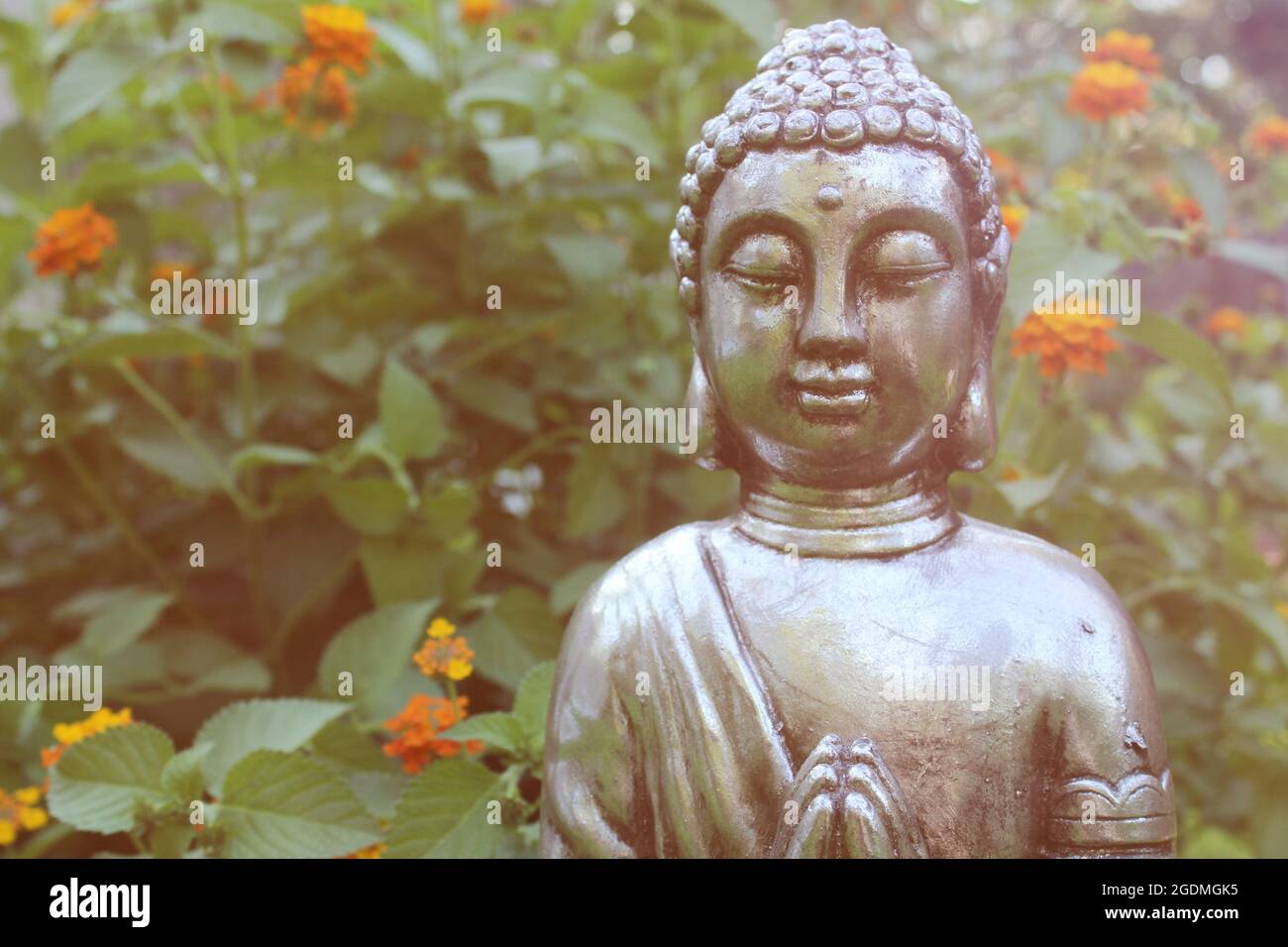 Buddha Statue in Garden with green plants in background Stock Photo Alamy