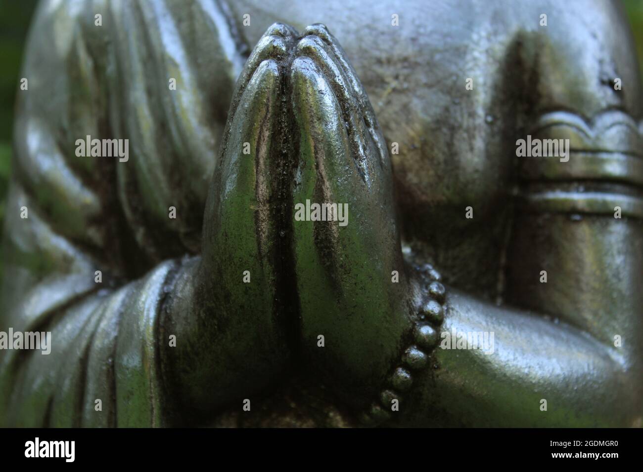 Buddha Statue in Garden with green plants in background Stock Photo - Alamy