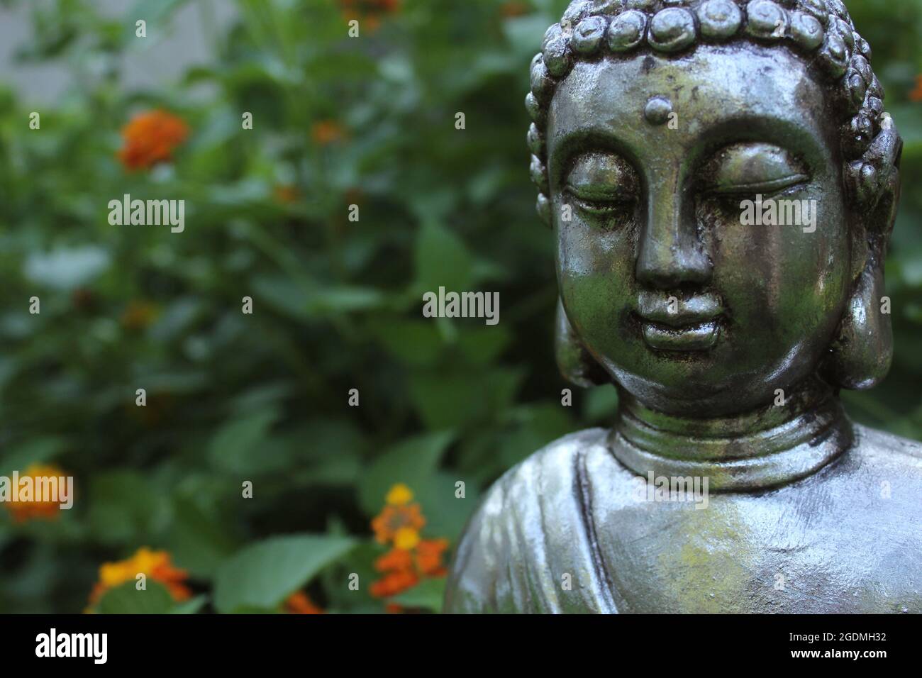 Buddha Statue in Garden with green plants in background Stock Photo Alamy