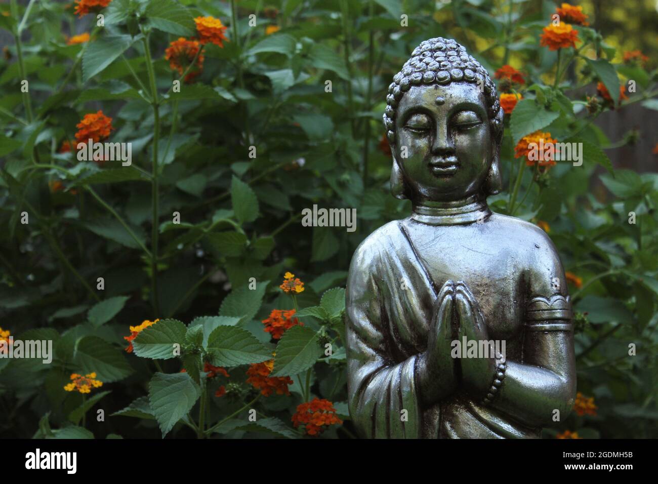 Buddha Statue in Garden with green plants in background Stock Photo - Alamy
