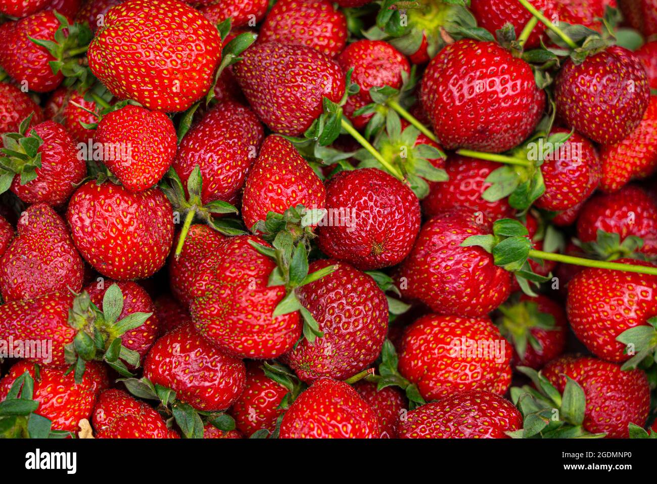 background in the form of ripe strawberries Stock Photo - Alamy