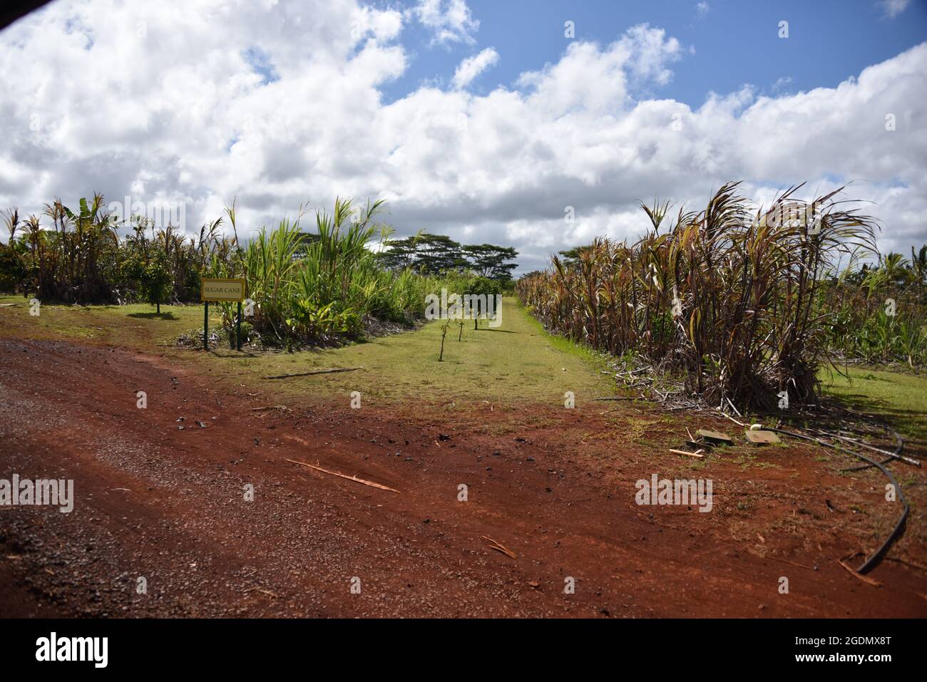 Oahu HI U.S.A. 6/3&6/2021. Dole Plantation. Gardens. Pineapple Express