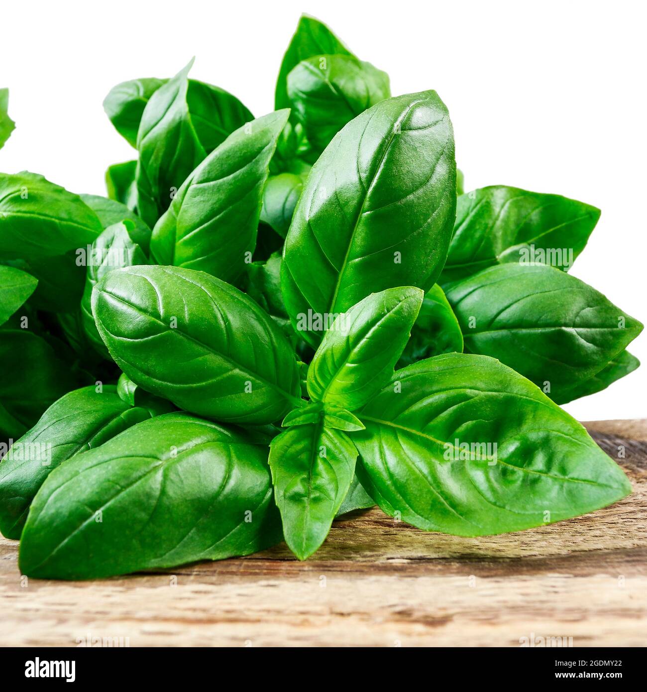 Basil plant on wooden table - detail. Graphic resources Stock Photo - Alamy
