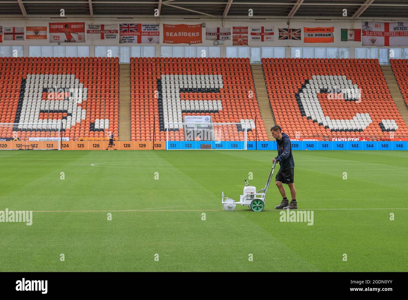 Cardiff City Stadium, Work complete as new pitch installed