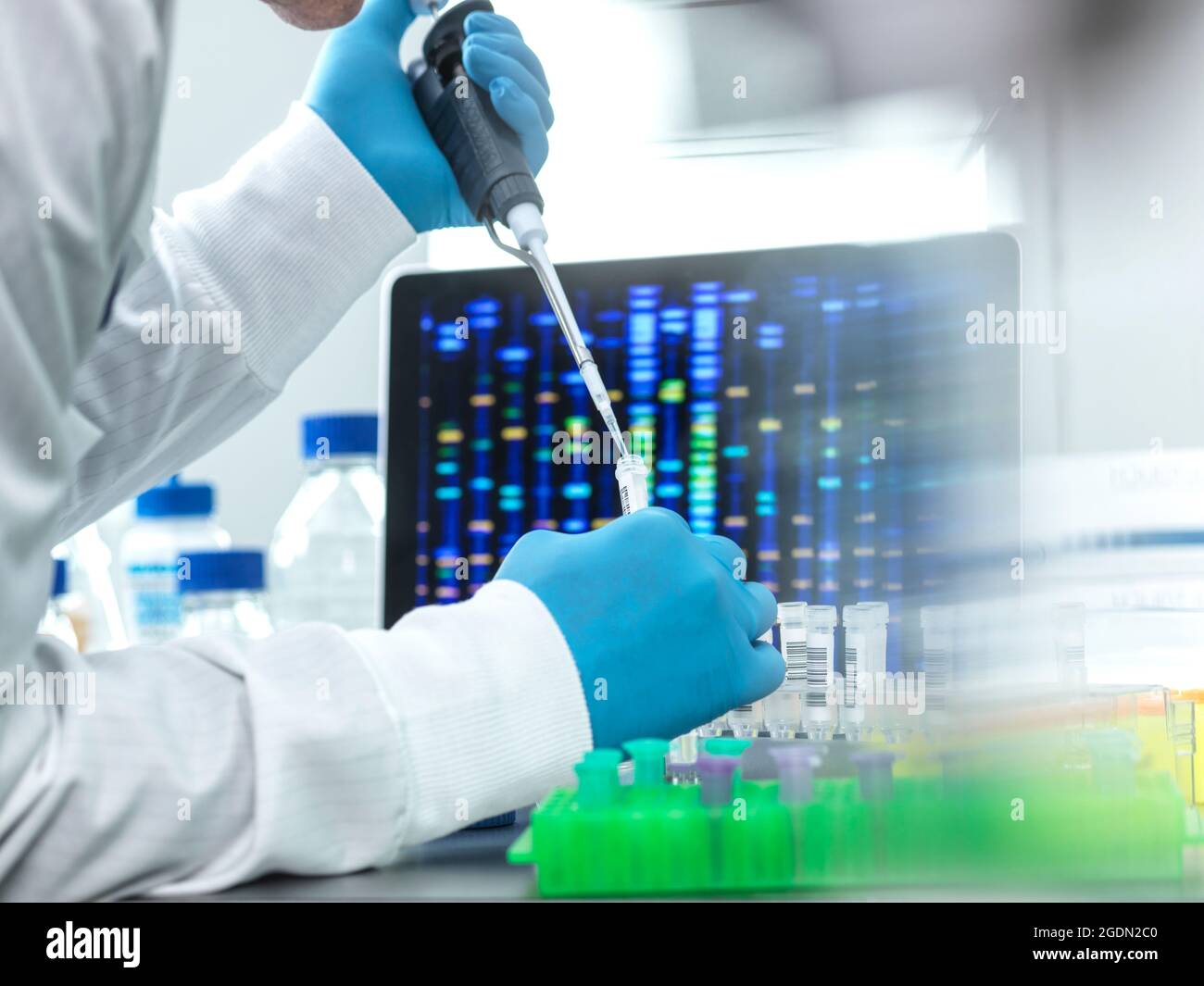 Scientist pipetting sample into a vial for DNA testing Stock Photo