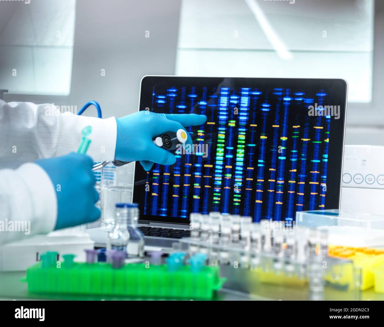 Scientist viewing DNA results from samples in the lab. Stock Photo