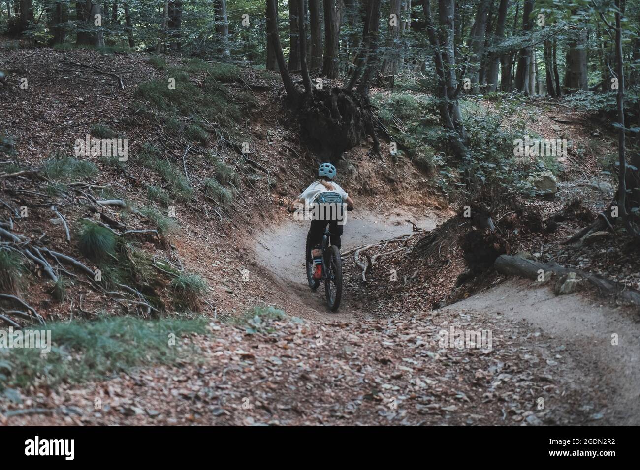 medium wide shot of female mountainbiker cornering on flow trail Stock Photo