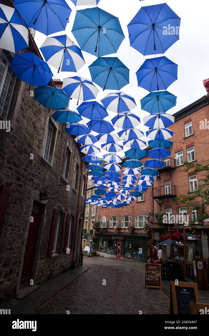 Quebec city umbrellas Stock Photo Alamy