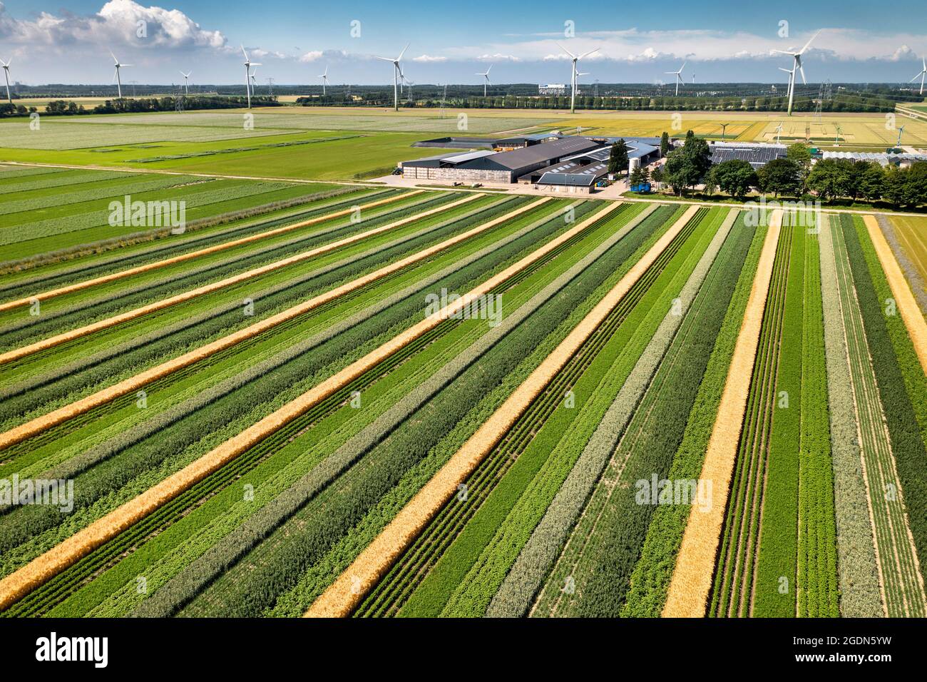 The Netherlands, Lelystad, Farm of the Future. Wageningen University