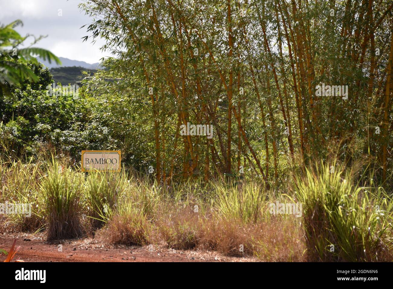 Dole coffee plantation hires stock photography and images Alamy